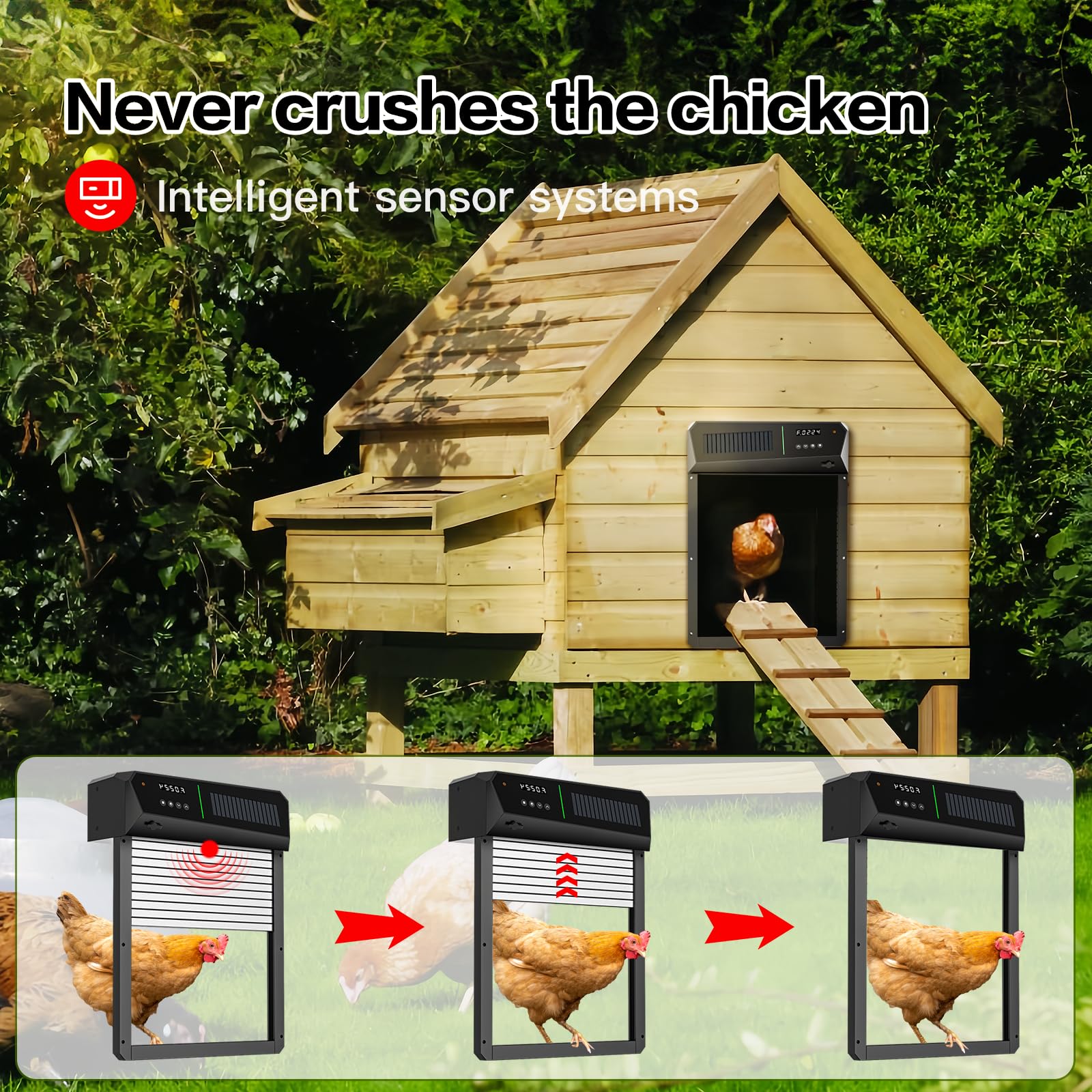 Solar Powered Automatic Chicken Coop Door with Timer & Light Sensor - Aluminum Coop Door with LCD Display, 100ft Remote Range, 4 Modes & Dual Solar Panels | Ideal for Poultry Farming, Backyard Chicken Coops & Small Livestock Protection