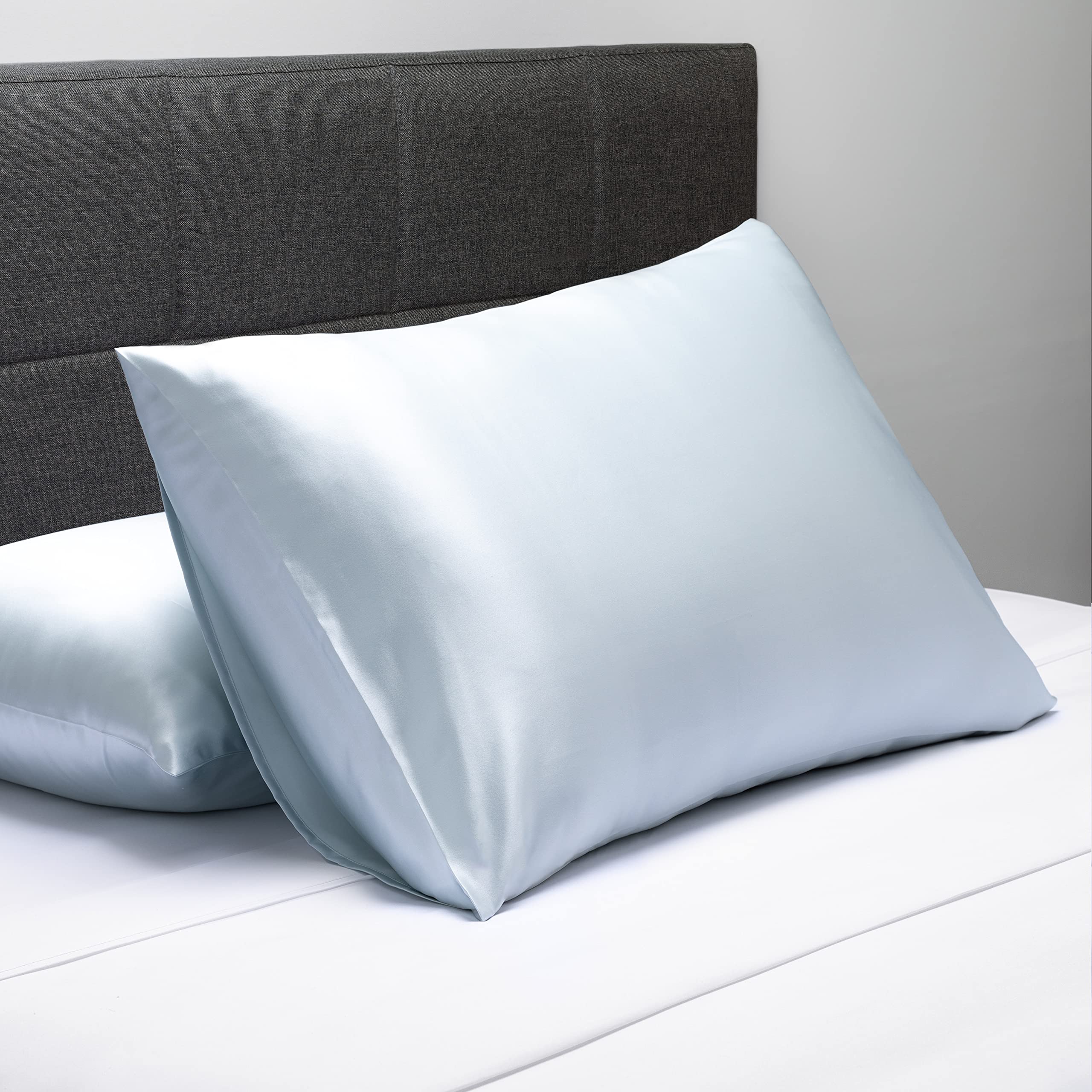 Fishers Finery 100% Pure Mulberry Silk Pillowcase - 25mm Luxury Queen Size (2 Pack, Blue) | Good Housekeeping Award Winner | Perfect for Hair & Skin Care, Anti-Aging & Cool Sleep