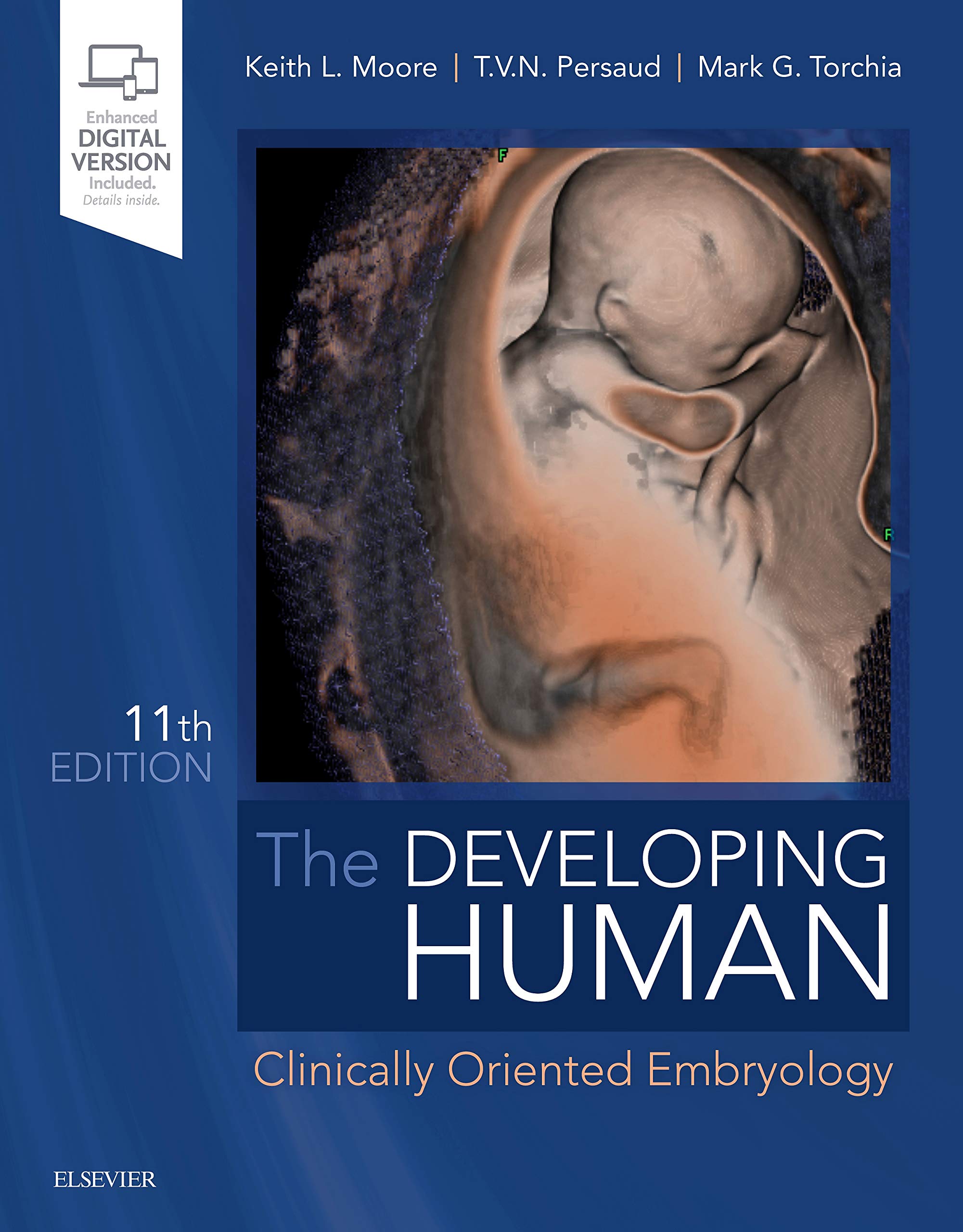 The Developing Human: Clinically Oriented Embryology Textbook - Essential Guide for Medical Students & Healthcare Professionals | Study Human Development & Clinical Applications