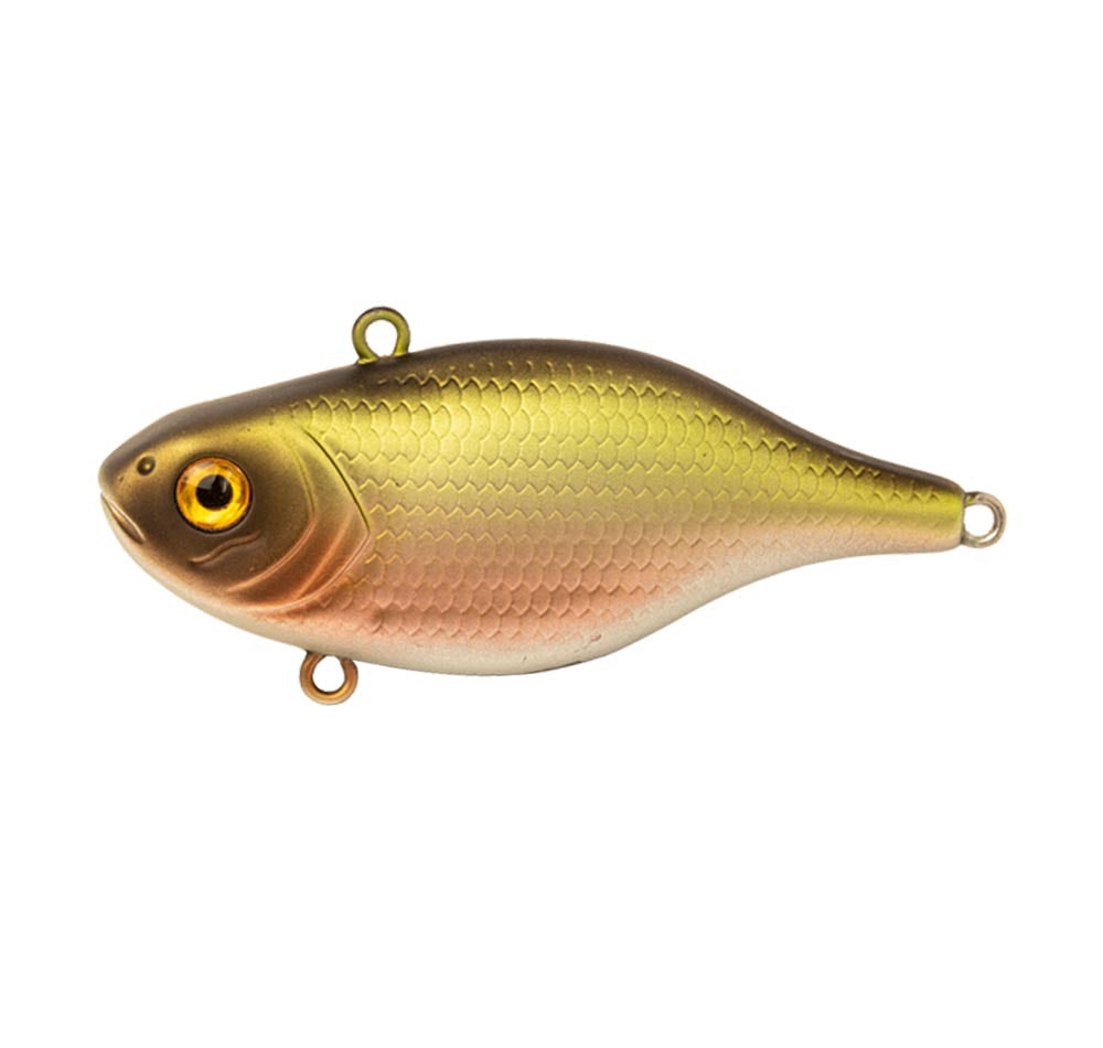 Moss Shad