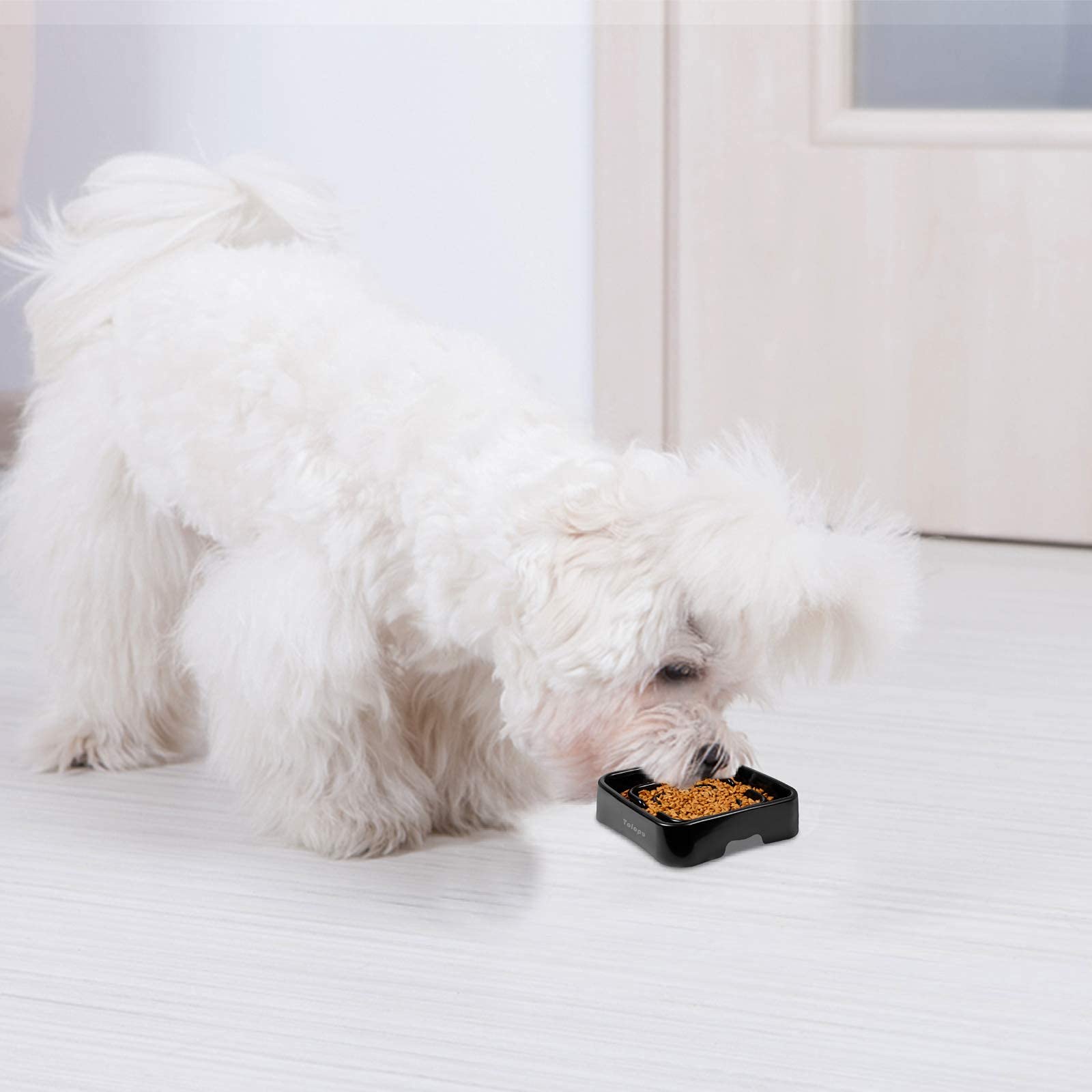 **Slow Feeder Dog Bowl Small - Anti Choking & Anti Gulping Dog Food Bowl for Small Breeds - Fun Interactive Feeding Dish to Prevent Bloat (Black) - Perfect for Puppies, Senior Dogs & Fast Eaters**