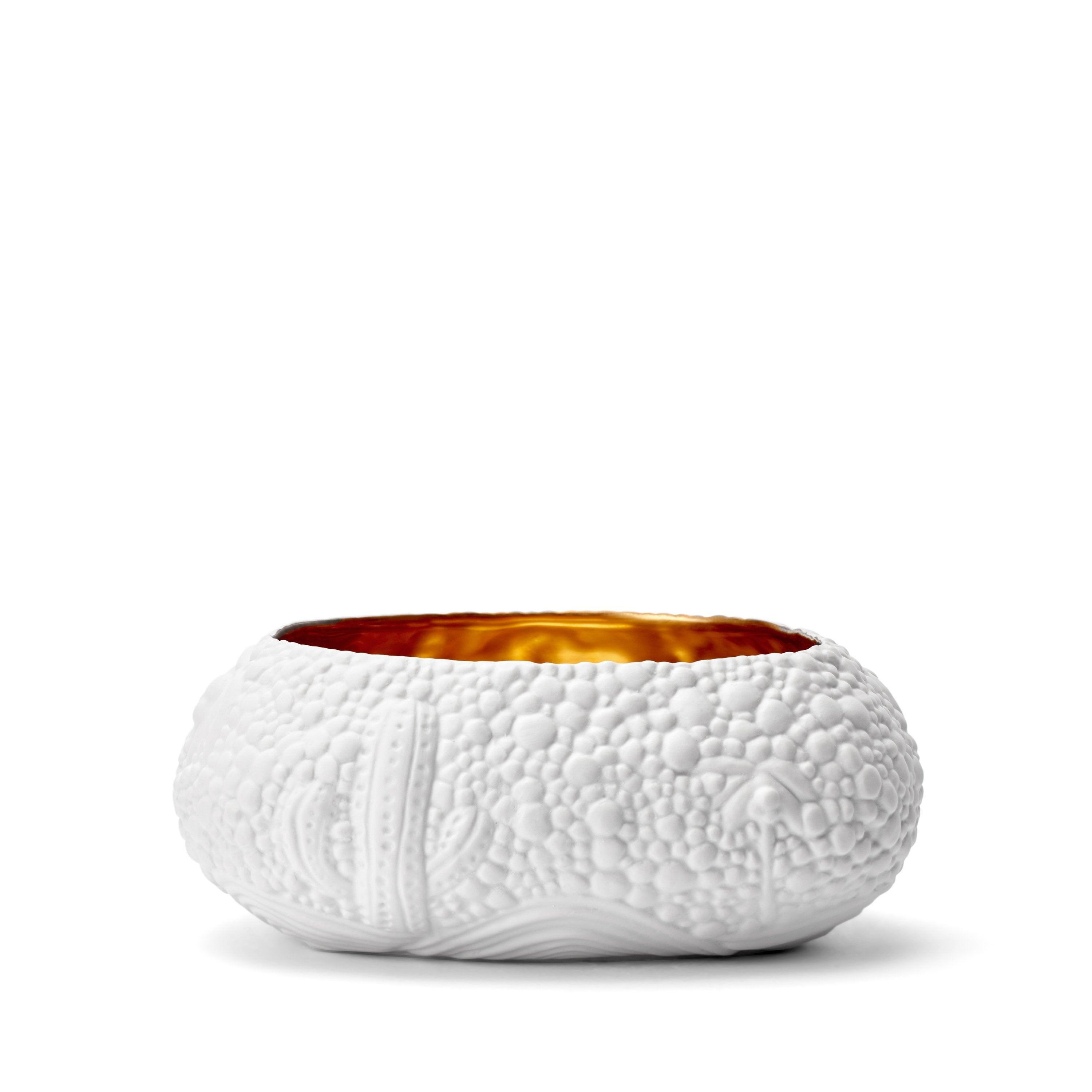 Premium Haas Mojave Desert Bowl - Medium Size Ceramic Serving Bowl in Elegant White & Gold - Perfect for Salads, Pasta, and Stylish Table Decor