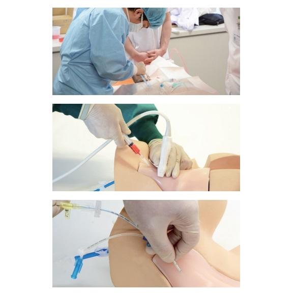 CVC Insertion Simulator III - Medical Training Device for Central Venous Catheter Practice | Perfect for Nursing Students, Doctors & Healthcare Professionals