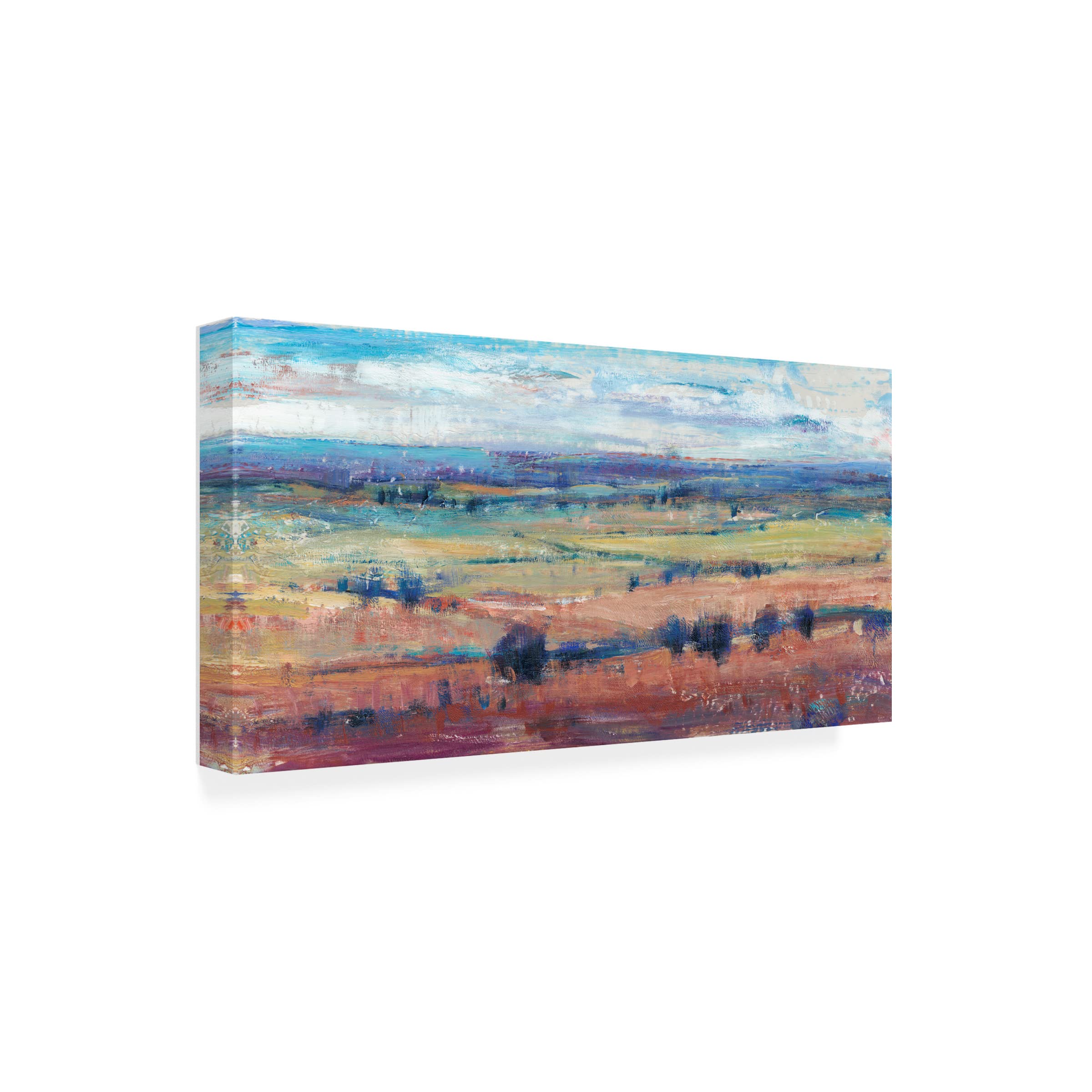 Trademark Fine Art 'Temperate Terrain I' Canvas Wall Art Print by Tim O'Toole - Nature Landscape Painting for Living Room, Bedroom & Office Decor