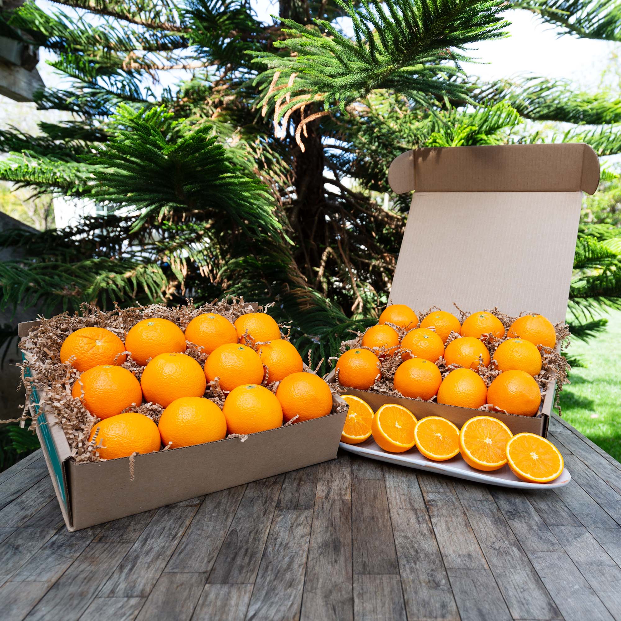 Fresh Organic Lou Lou Navel Oranges - Sweet Juicy Citrus Fruit for Healthy Snacks, Juicing & Gift Baskets