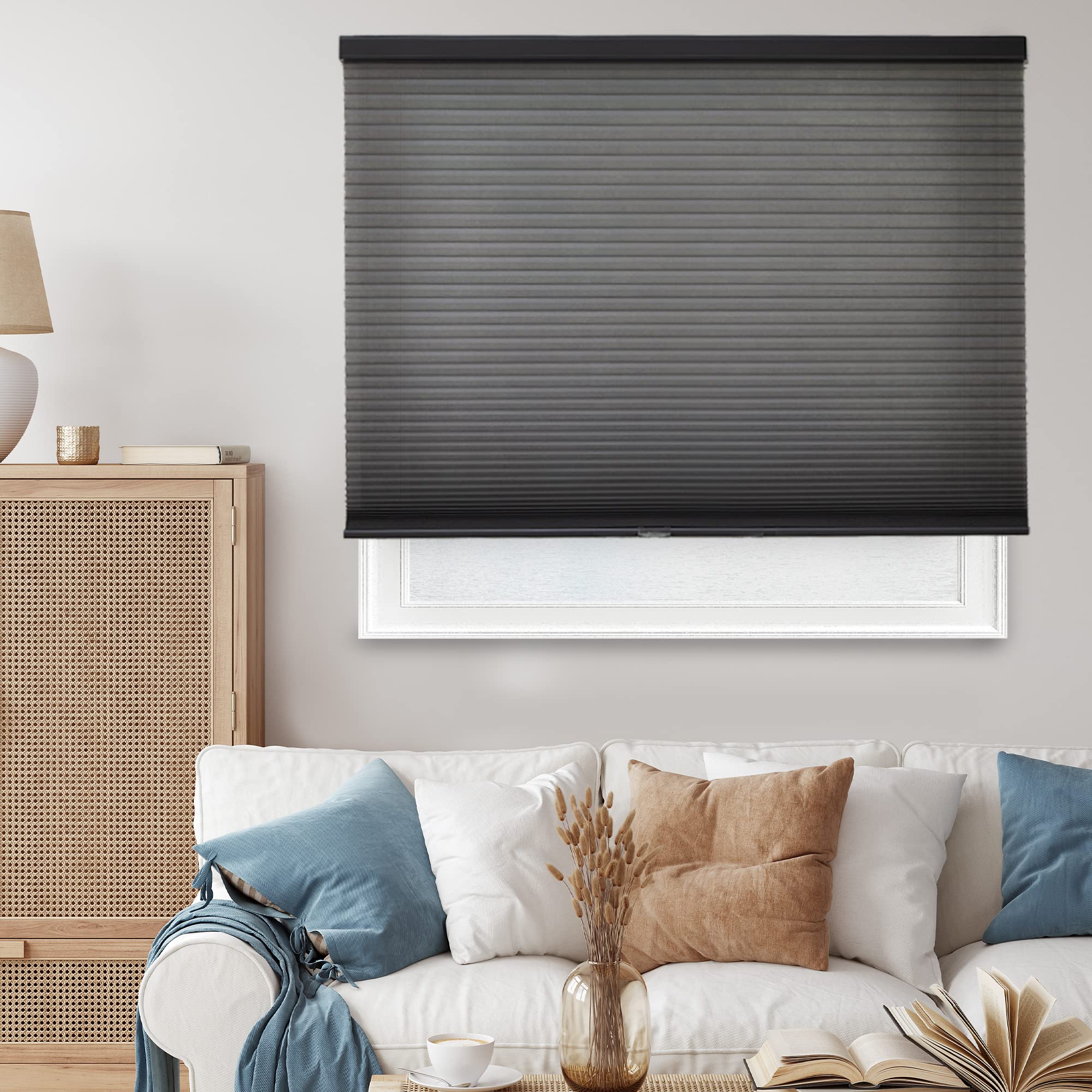 Cordless Cellular Shades for Windows - CHICOLOGY Light Filtering Window Blinds, 57