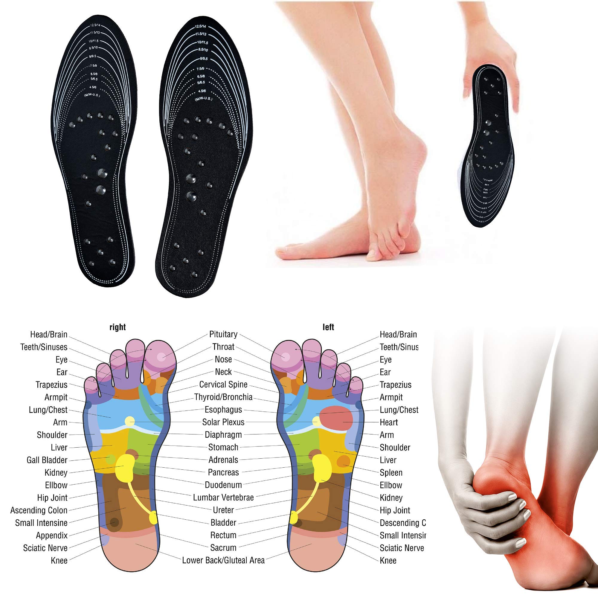 Carespot Magnetic Acupressure Massage Insoles for Men & Women - Reflexology Foot Therapy Pain Relief Shoe Insoles with Memory Foam | Unisex Orthotic Support for Plantar Fasciitis, Heel Spurs & Foot Fatigue - Perfect for Work, Running & Daily Comfort (Black)