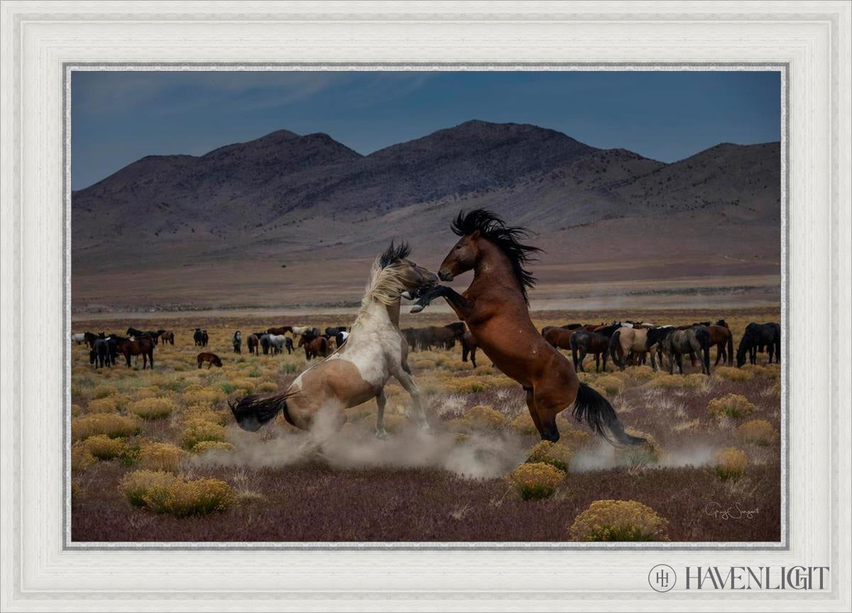 Desert Duel 5 by Greg Sargent - Western Action Novel - Perfect for Book Clubs & Cowboy Adventure Fans