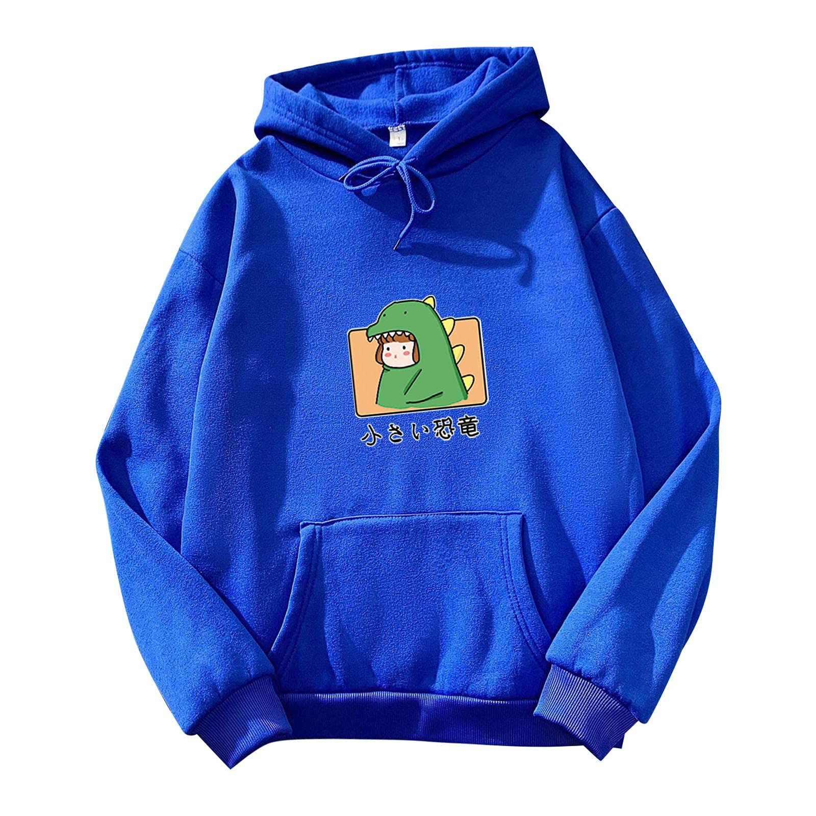 Women's Cute Dinosaur Print Hoodie - Long Sleeve Round Neck Pullover Sweatshirt for Fall & Winter (Blue, XL) | Casual Outfit, Streetwear Fashion, Gift for Dino Lovers