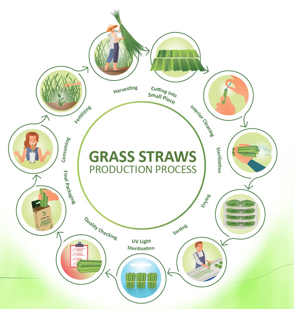 100% Natural Grass Drinking Straws - Eco-Friendly, Compostable, Plastic-Free Alternative to Paper & Bamboo Straws - 100 Pack - Perfect for Parties, Picnics, and Sustainable Living