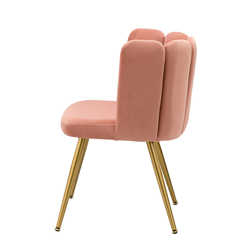 Elodia Side Chair - Modern Accent Chair for Dining Room, Living Room & Office - Sturdy Wooden Frame with Upholstered Seat - Perfect for Home Decor & Small Spaces