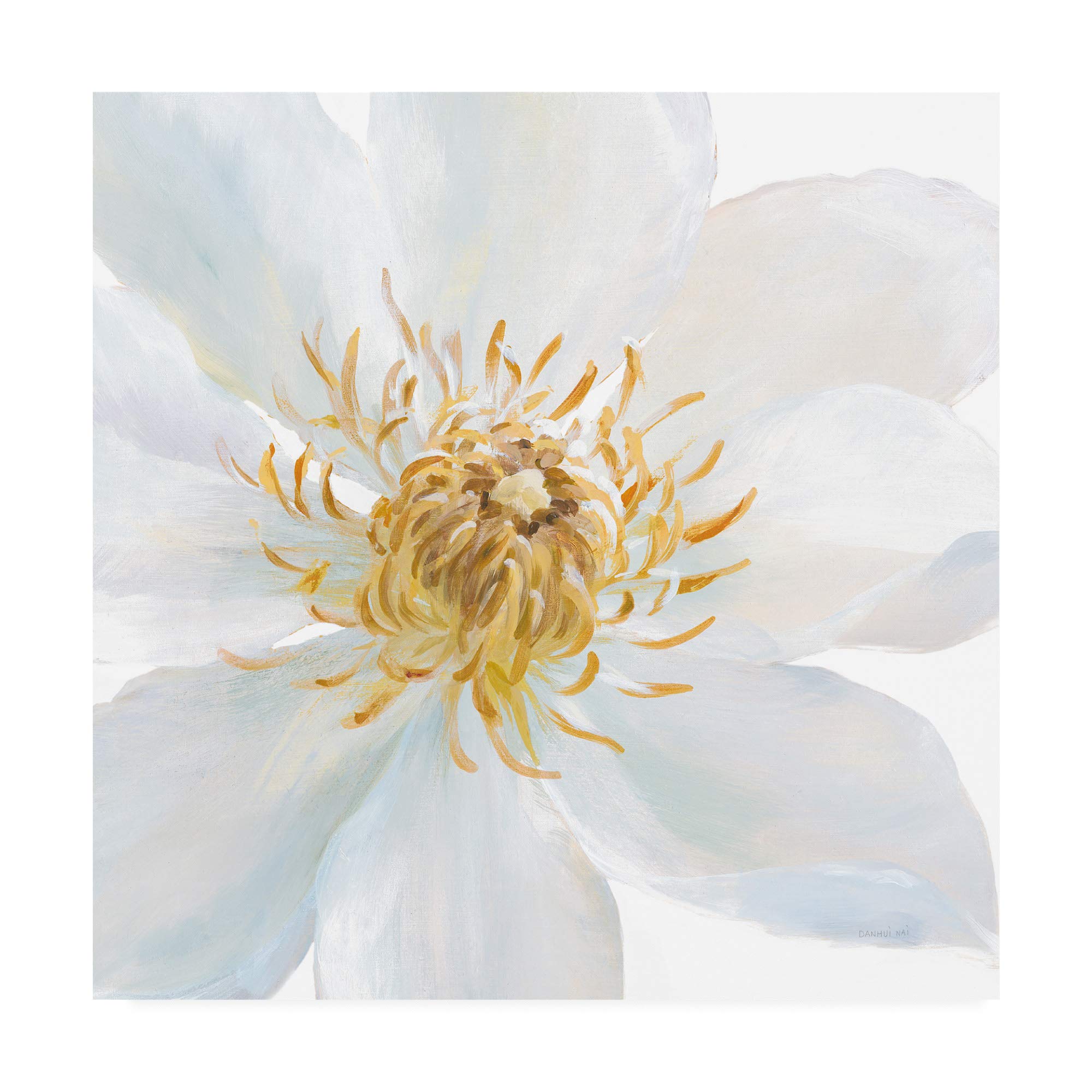 Danhui NAI Contemporary Clematis Gray Art Print - 18x18 Inch Framed Wall Decor for Living Room, Bedroom & Office | Trademark Fine Art Collection