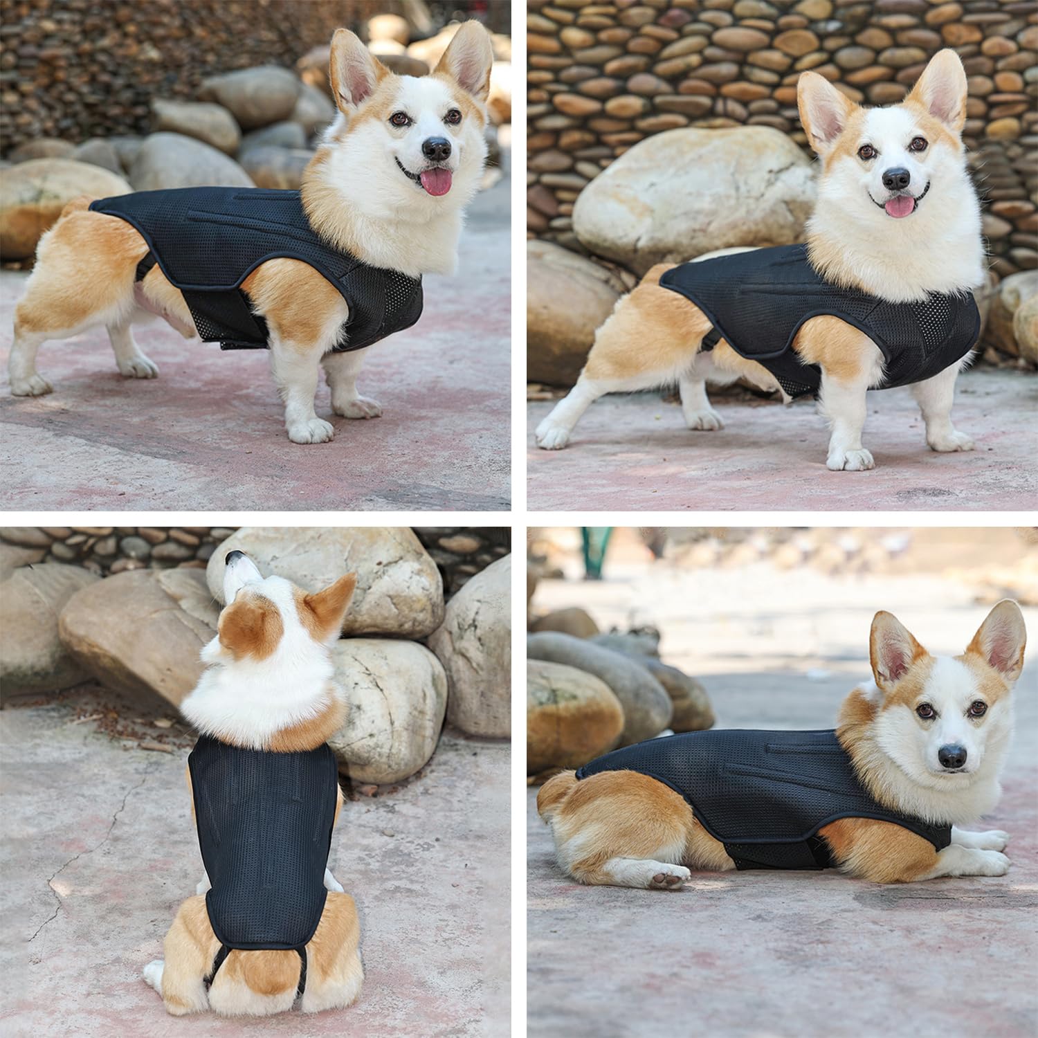 **IVDD Back Brace for Dogs - Adjustable Dog Back Support Vest for Dachshunds & Small Pets - Relief for Arthritis, Back Pain, Herniated Disc & Post-Surgery Recovery (Size S) - Ideal for Walks, Recovery & Daily Comfort**