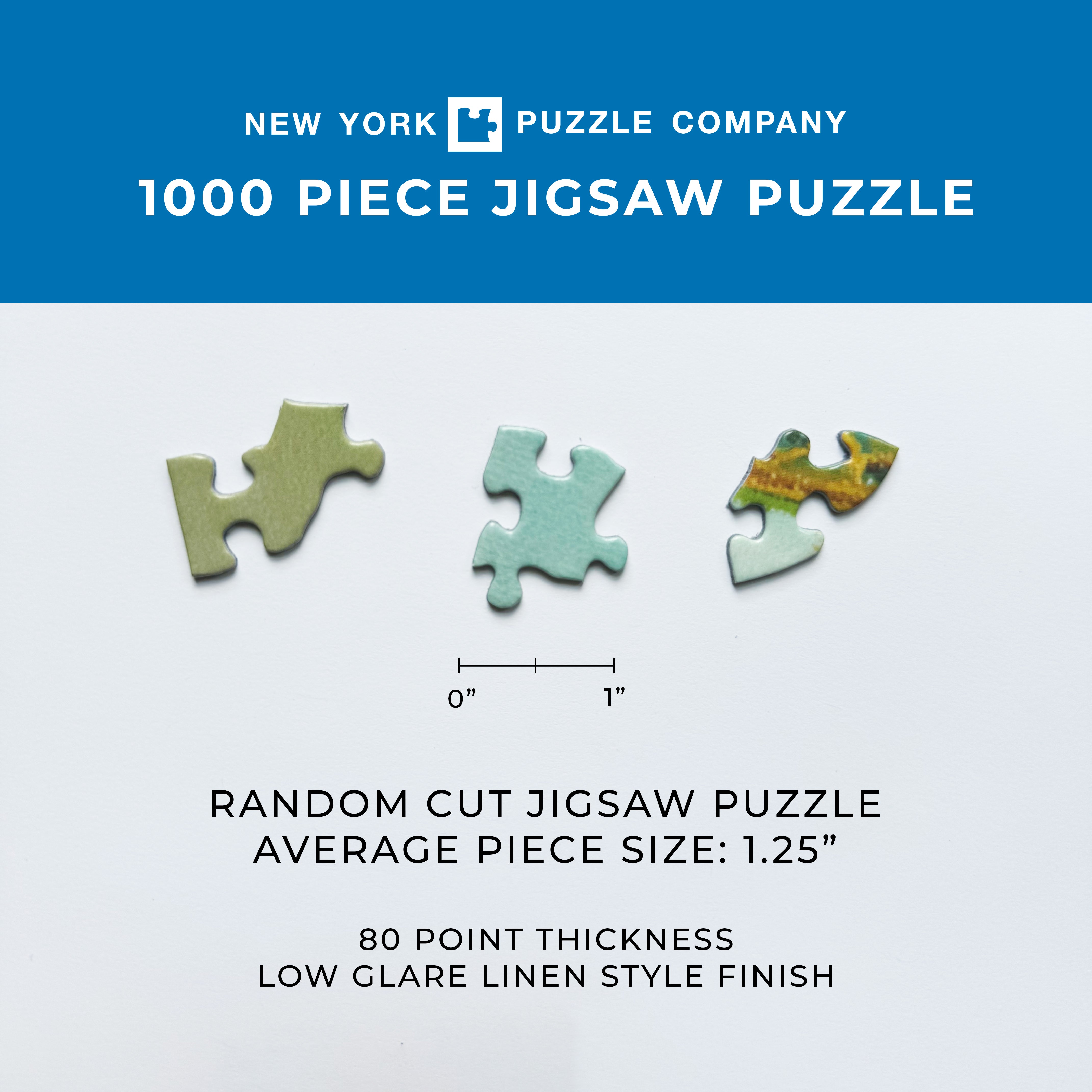 American Kestrel Puzzle - 500 Piece Bird Jigsaw Puzzle for Adults & Kids - Fun & Challenging Wildlife Puzzle for Family Game Night, Classroom Activities, and Relaxation