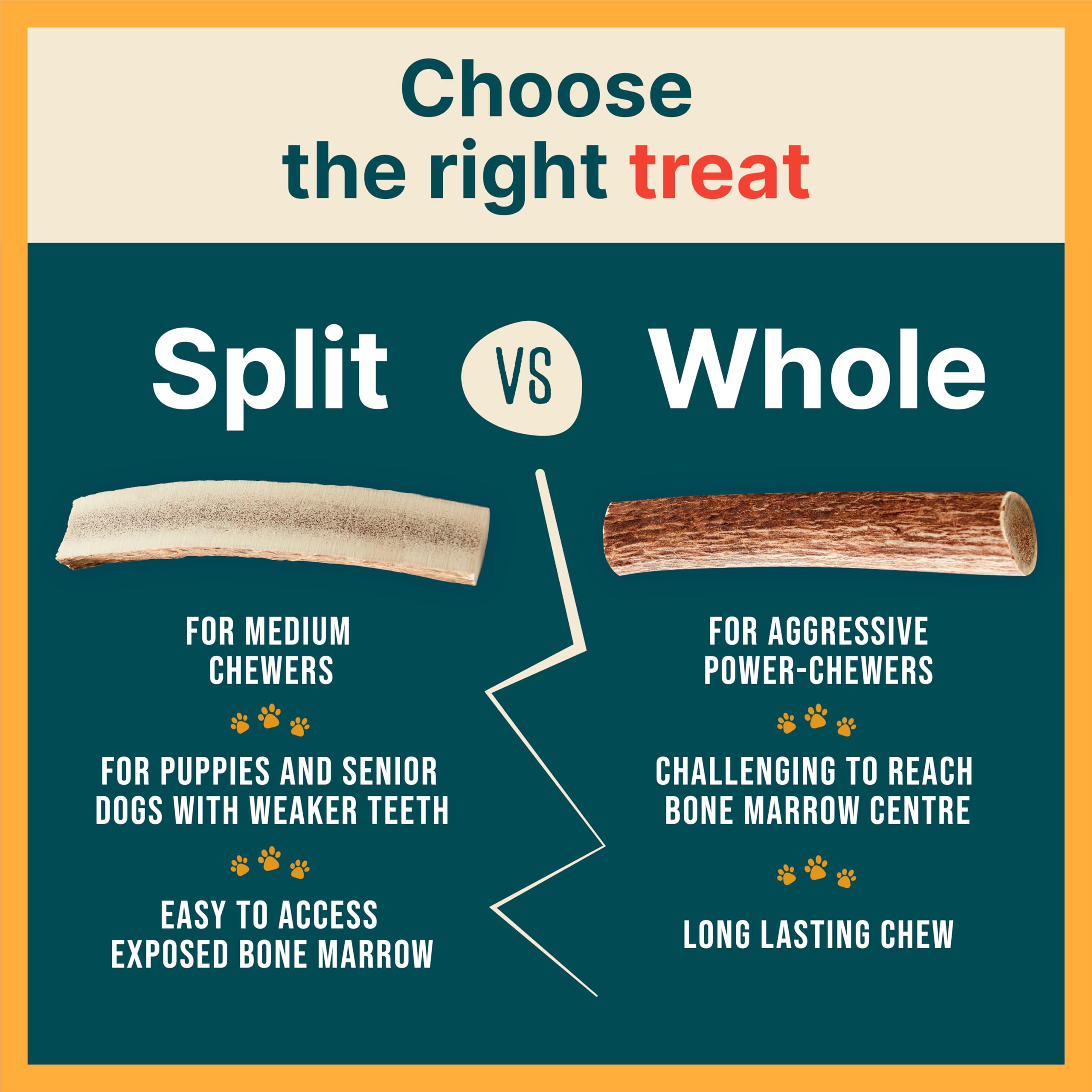 100% Natural Elk Antlers for Dogs - Long Lasting Chew Toys for Aggressive Chewers - USA Sourced Naturally Shed Antlers - Odor-Free & Mess-Free Dog Treats - Large Size - Perfect for Teething Puppies and Strong Chewers