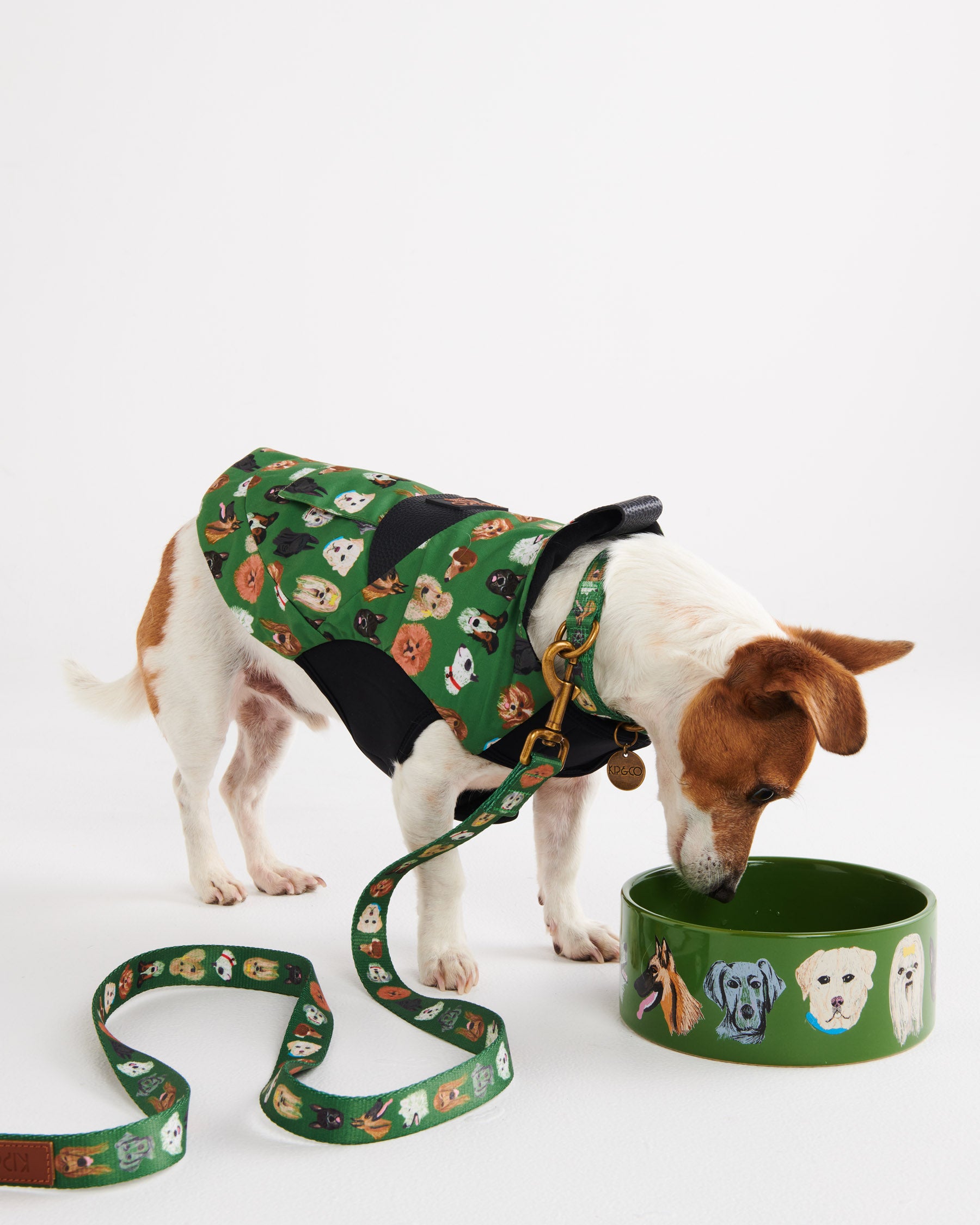 Waterproof Reflective Dog Jacket for Small & Large Breeds - Lightweight & Warm Winter Coat for Outdoor Adventures, Hiking, and Dog Park Playtime