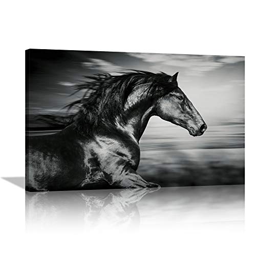 Animal Wall Art 16