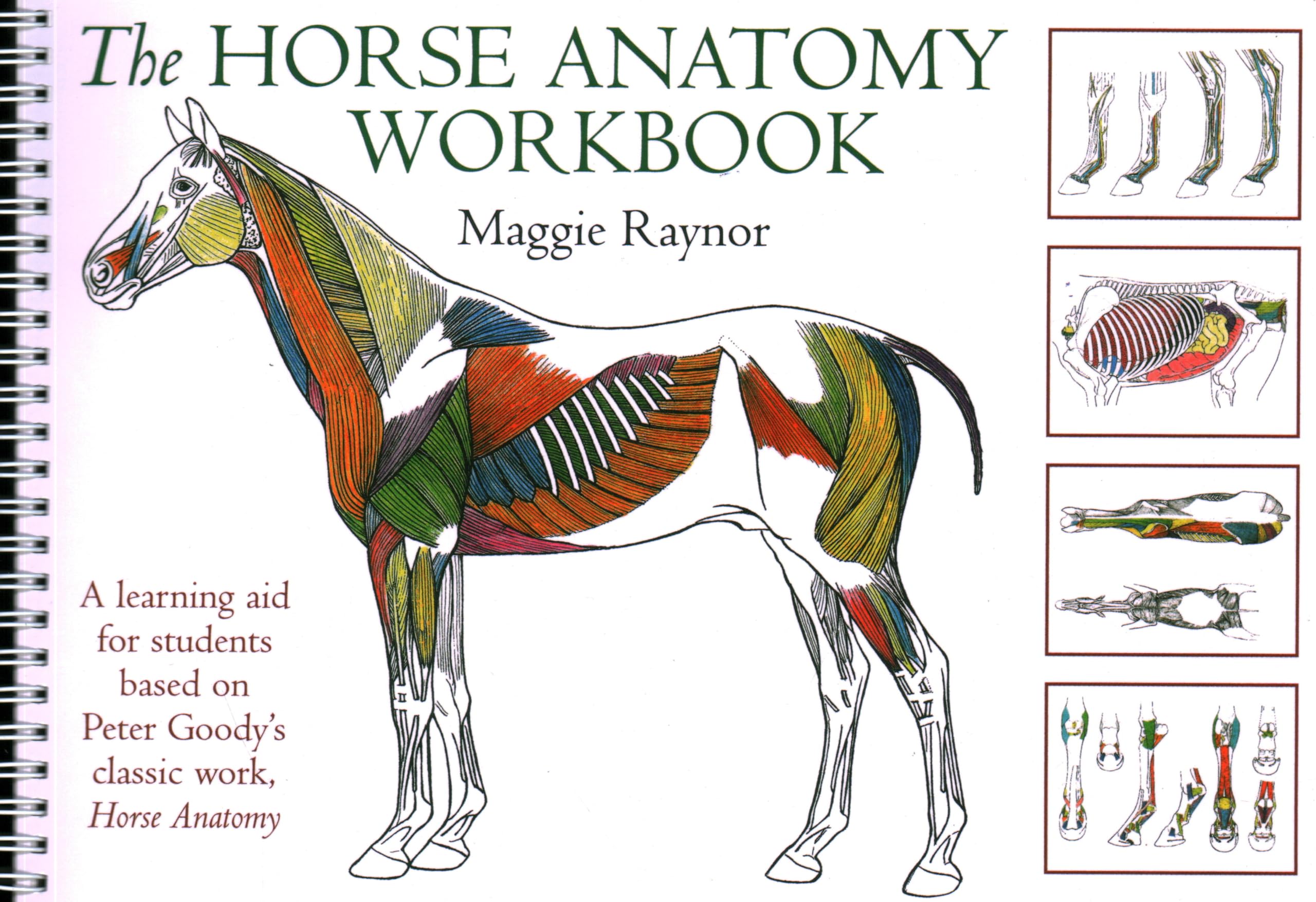 Horse Anatomy Workbook for Students - Based on Peter Goody's Classic Horse Anatomy (Allen Student Edition) | Veterinary Study Guide, Equine Science Learning Aid for Classroom & Home Study