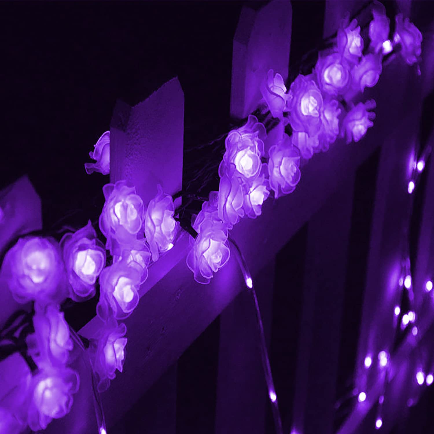 Solar Powered 20 LED Rose Flower String Lights - Waterproof Outdoor Fairy Lights with 2 Modes for Garden, Pathway, Wedding & Party Decor (Rose-Purple) | Perfect for Backyard, Patio, Christmas & Holiday Lighting