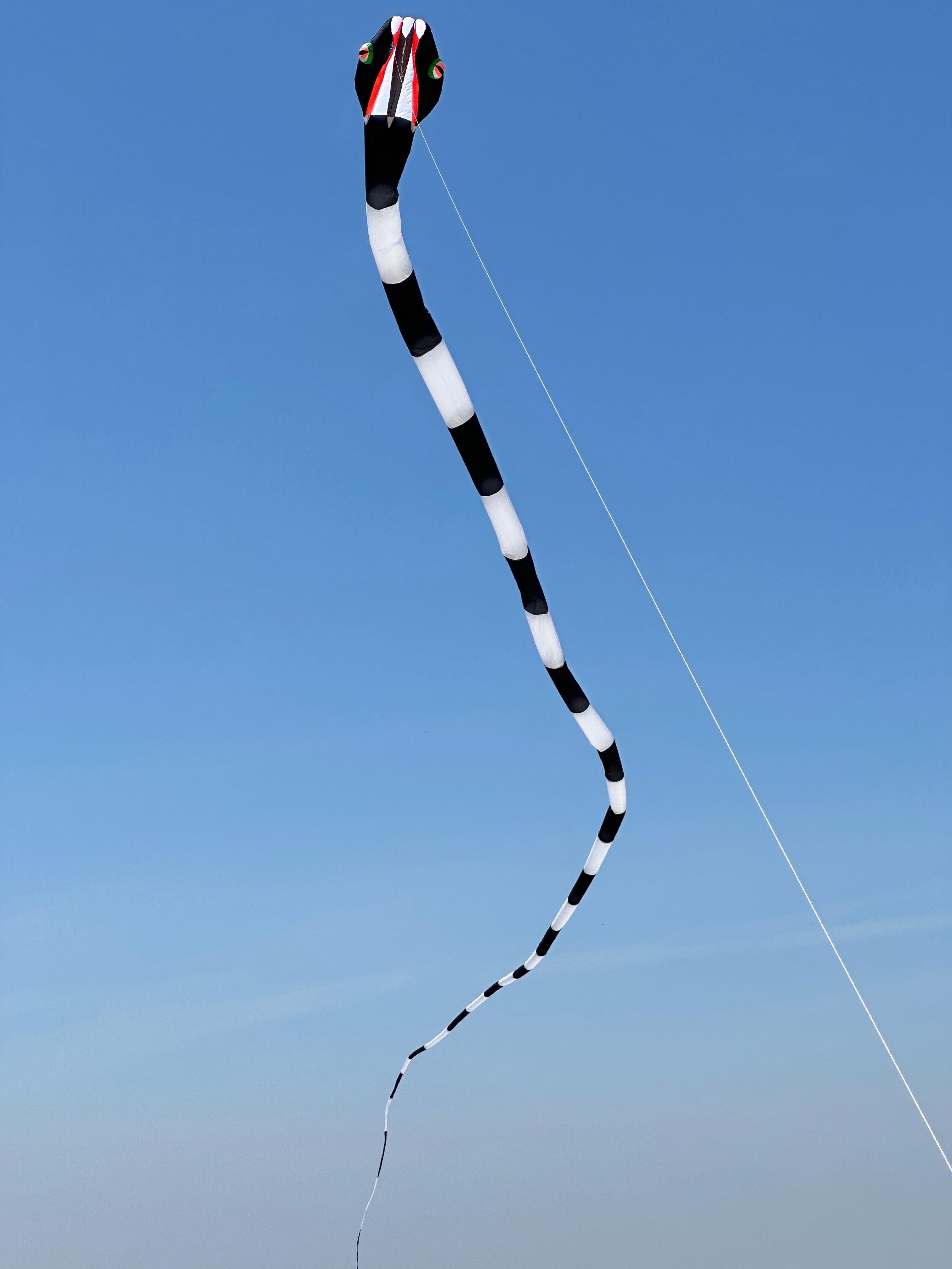 55m Inflatable Snake Kite - Large Black & White Flying Kite for Outdoor Activities, Beach Fun, and Park Adventures
