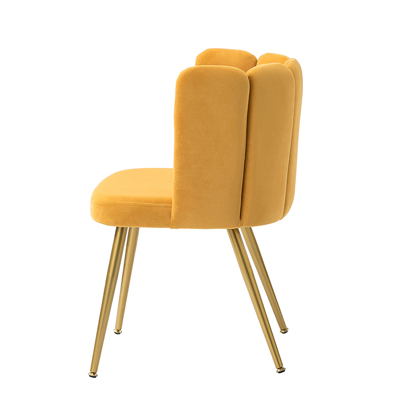 Elodia Side Chair - Modern Accent Chair for Dining Room, Living Room & Office - Sturdy Wooden Frame with Upholstered Seat - Perfect for Home Decor & Small Spaces