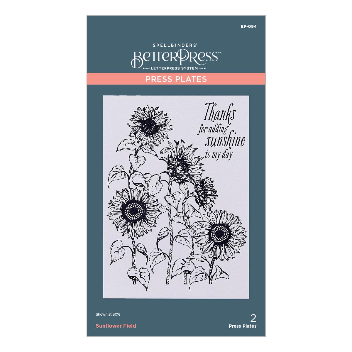 Spellbinders Sunflower Field BetterPress Metal Press Plate for Card Making & Scrapbooking | DIY Greeting Cards, Invitations & Paper Crafts