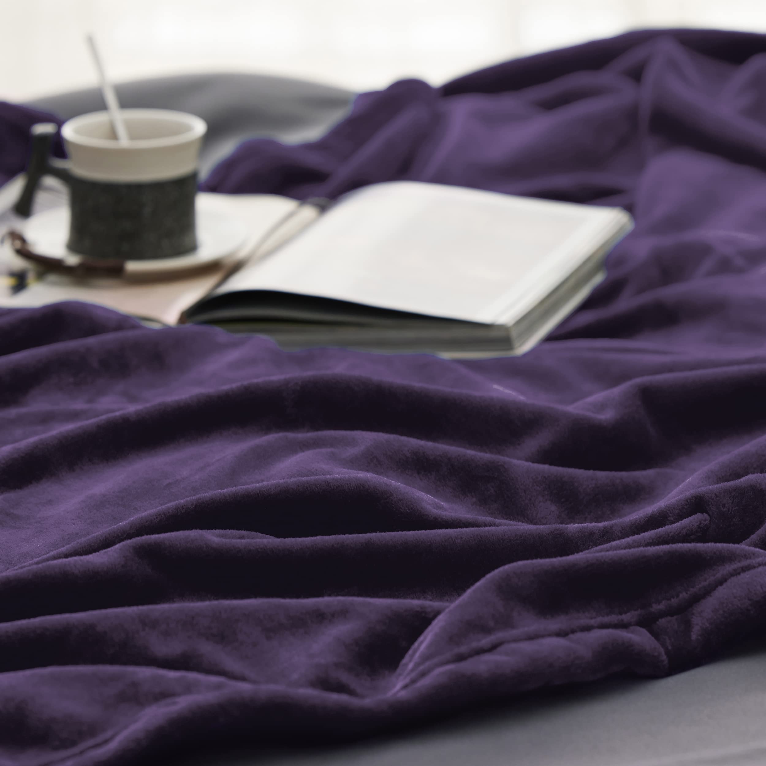 Bedsure 300GSM Fleece Throw Blanket - Ultra Soft Plush Cozy Blanket for Couch, Sofa & Bed, Lightweight Warm Blanket for Toddlers & Adults, 50x60 Inches - Perfect for Lounging, Movie Nights & Winter Comfort