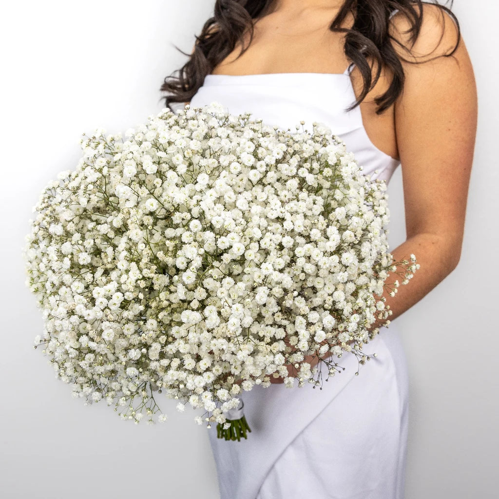 Baby's Breath Wedding Bouquet - Fresh Gypsophila Flowers for Bridal Bouquets, Centerpieces & Wedding Decorations - Perfect for Bridal Showers, Ceremonies & Romantic Events