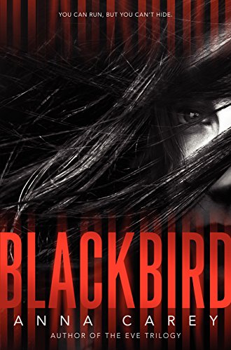 Blackbird - Premium Quality Blackbird Products for Home & Garden | Perfect for Bird Lovers, Outdoor Decor, and Nature-Inspired Gifts