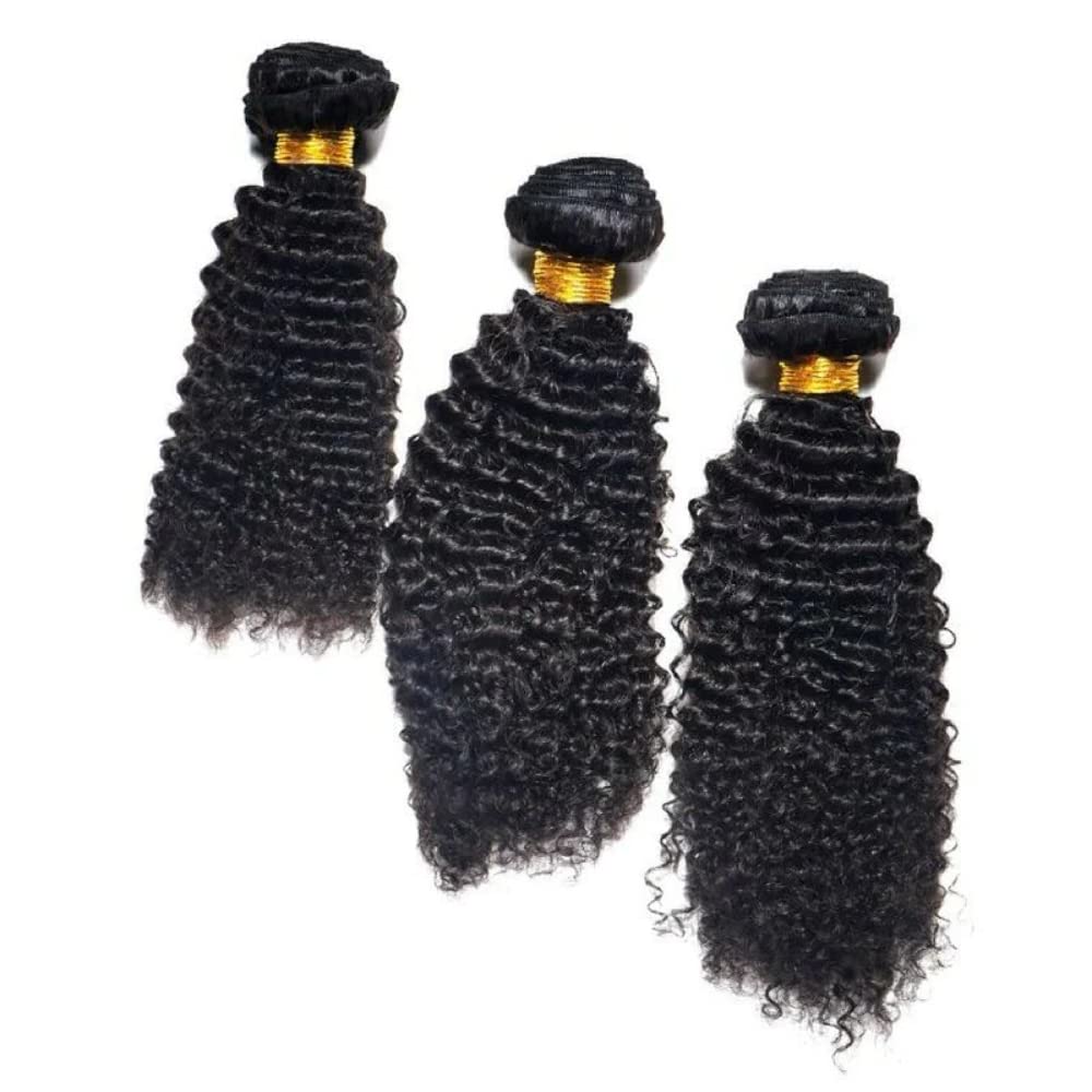 Brazilian Afro Kinky Curly Hair Bundles 12