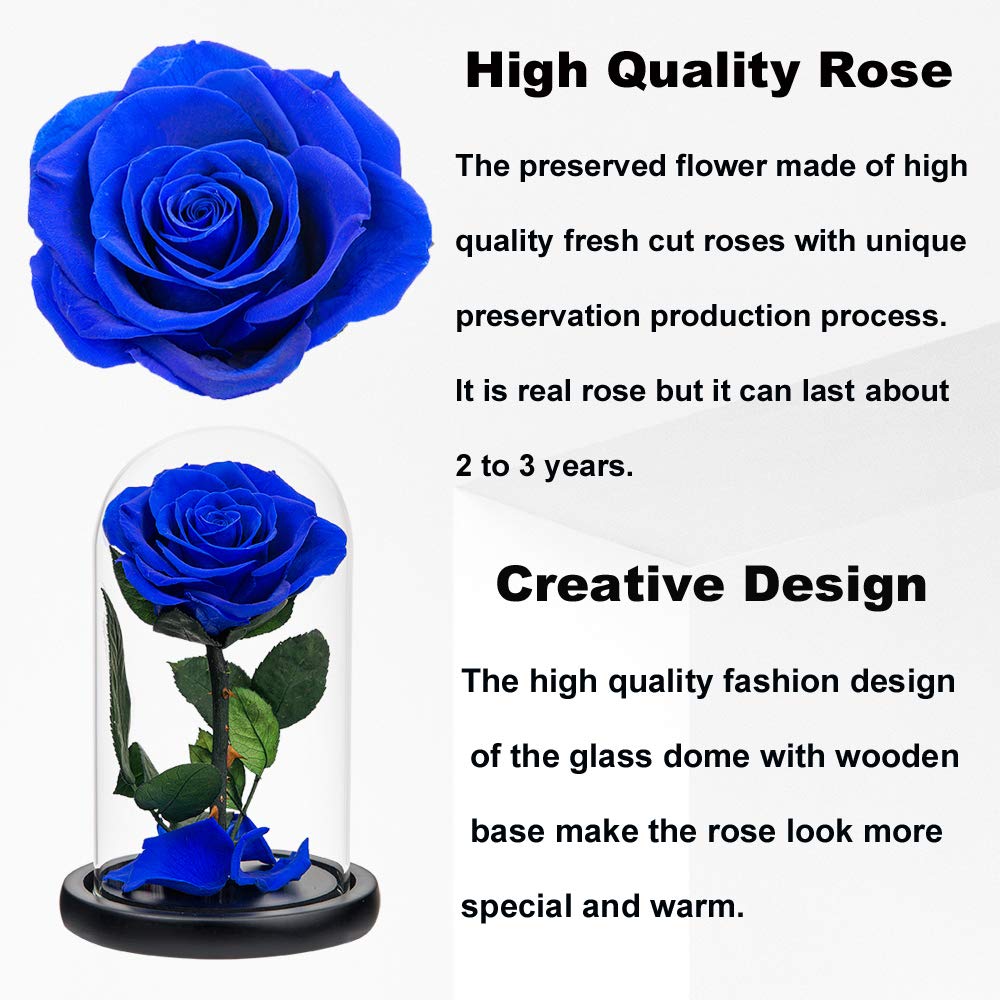 Royal Blue Preserved Roses in Glass Dome - Real Never-Withered Flowers for Home Decor, Wedding Centerpieces & Romantic Gifts (Perfect for Valentine's Day, Mother's Day & Birthdays)