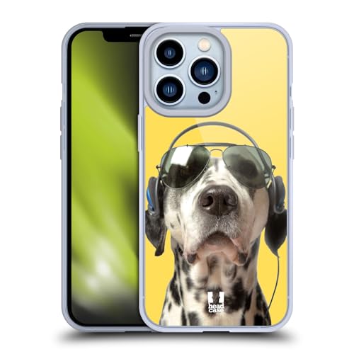 Grooving Dalmatian