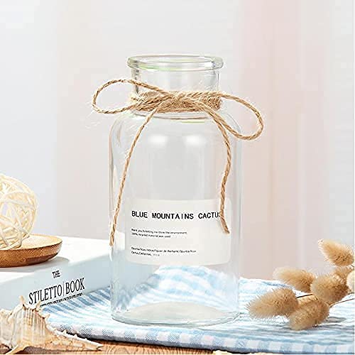 1PC Glass Bud Vase Set - Clear Apothecary Jars for Wedding Centerpiece & Home Decor
