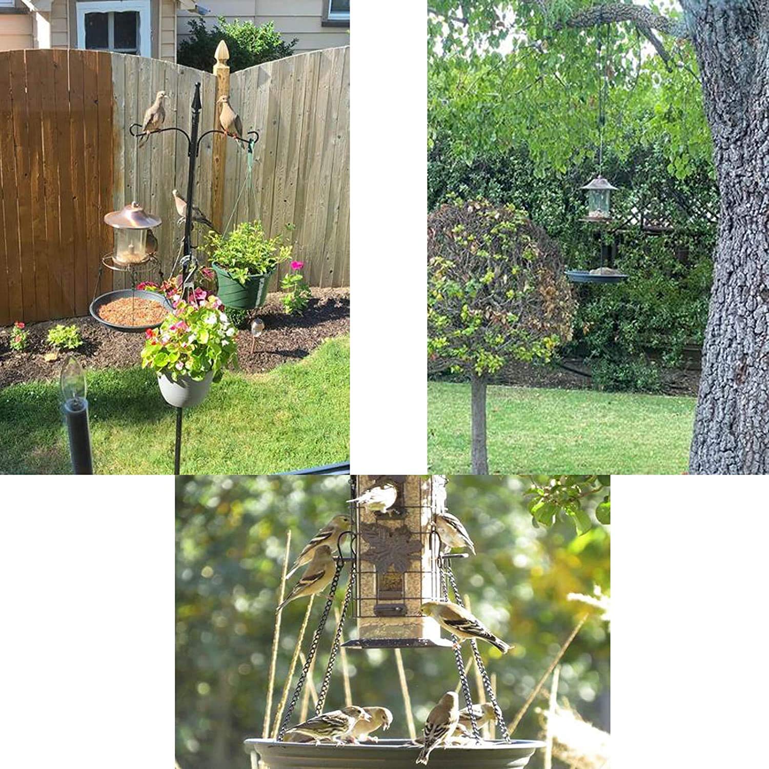 Premium Large Hanging Bird Feeder Tray - Durable Platform Seed Tray for Wild Birds - Outdoor Garden Decoration to Attract Cardinals, Finches & Bluebirds - Perfect for Backyard Bird Watching & Nature Lovers (Green) - Ideal for Patio, Yard & Wildlife Garden Setup
