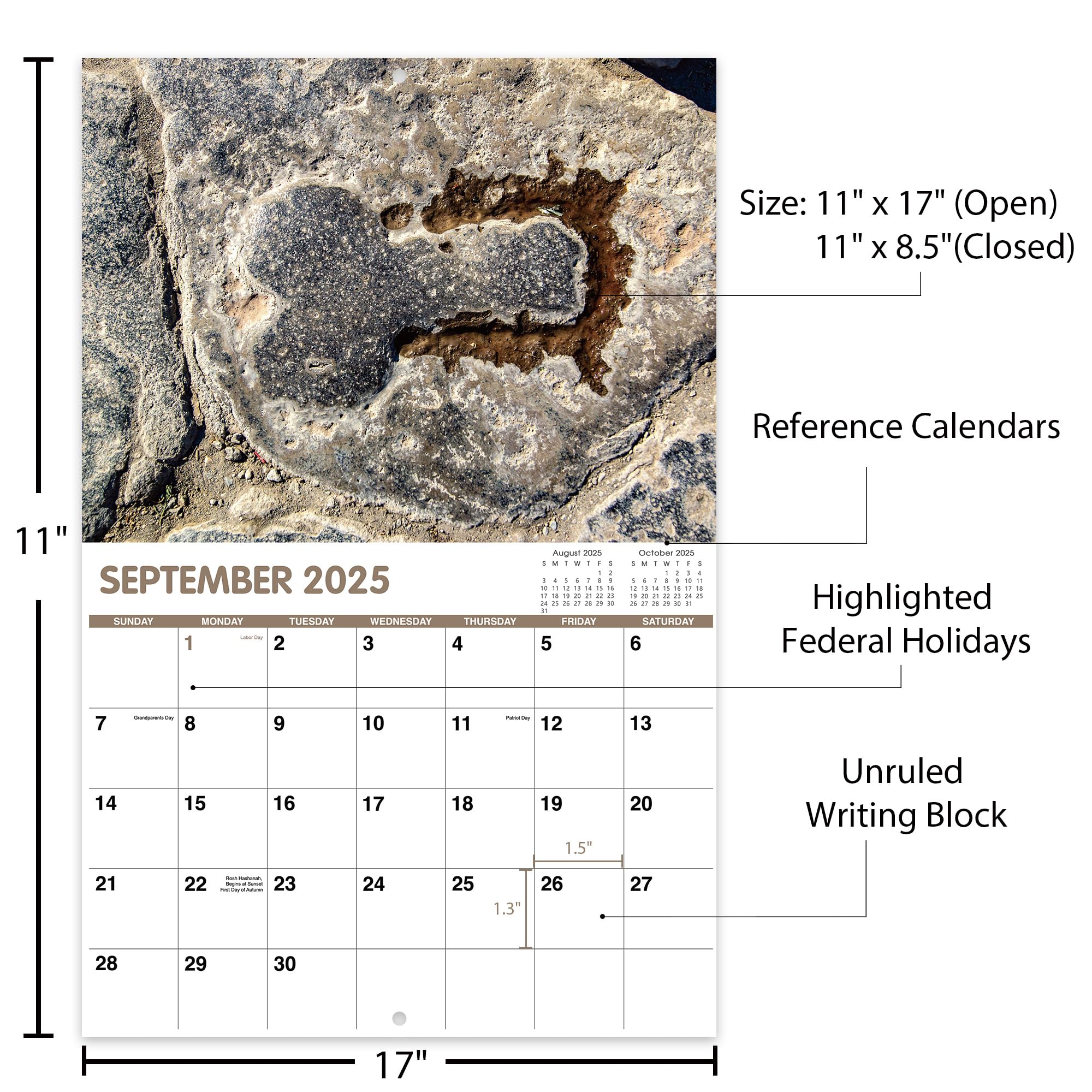 2025 Funny Wall Calendar - Thick Paper Jan-Dec 2025, 11