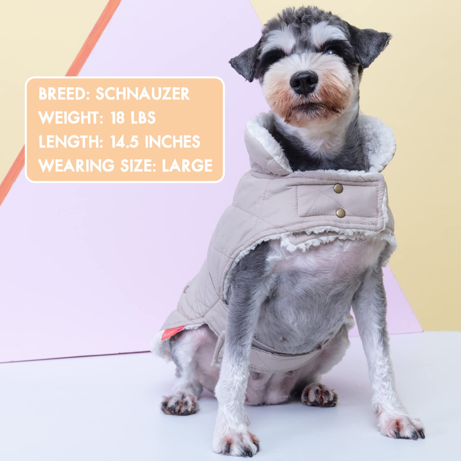KYEESE Warm Windproof Padded Sherpa Dog Coat with Furry Collar - Winter Cozy Outfit for Small Dogs (Beige, Size S) - Perfect for Cold Weather Walks & Outdoor Adventures