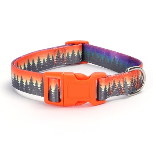 4.Forest