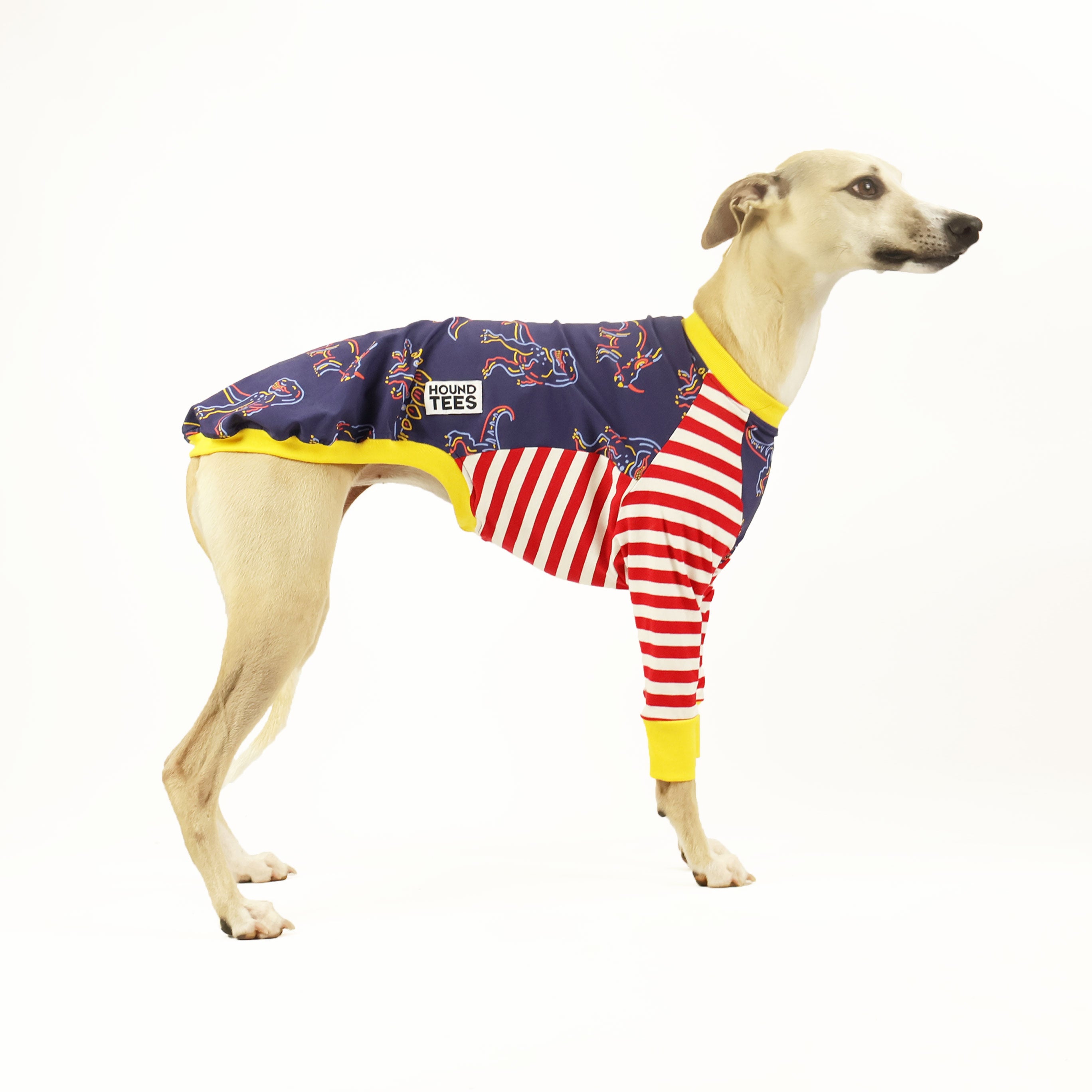 Rawr Whippet Long Sleeve Hound T-Shirt - Trendy Dog Lover Apparel for Casual Wear & Outdoor Adventures