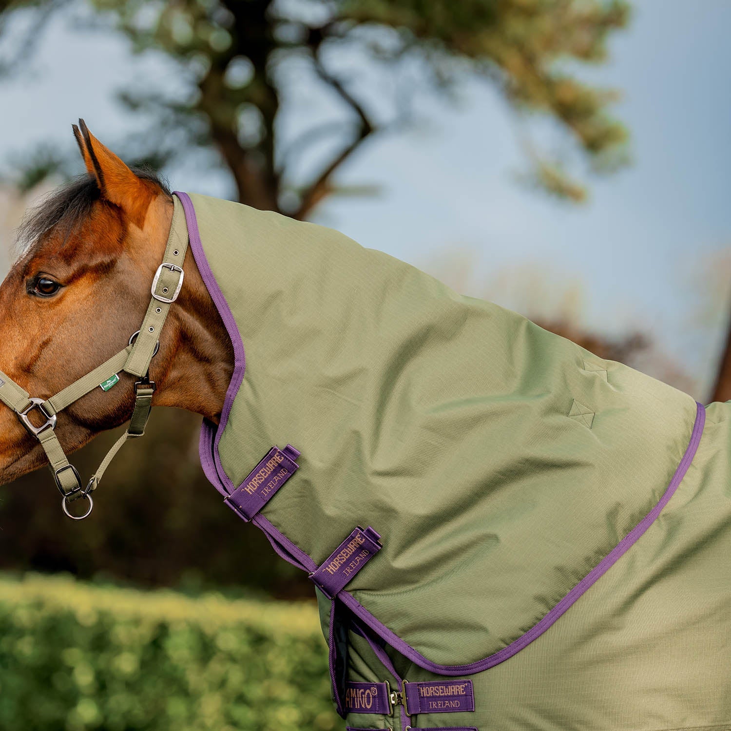 AMIGO Hero Ripstop Plus Medium Weight Turnout Blanket - Durable Horse Stable Blanket for All-Weather Protection | Ideal for Riding, Training & Cold Weather