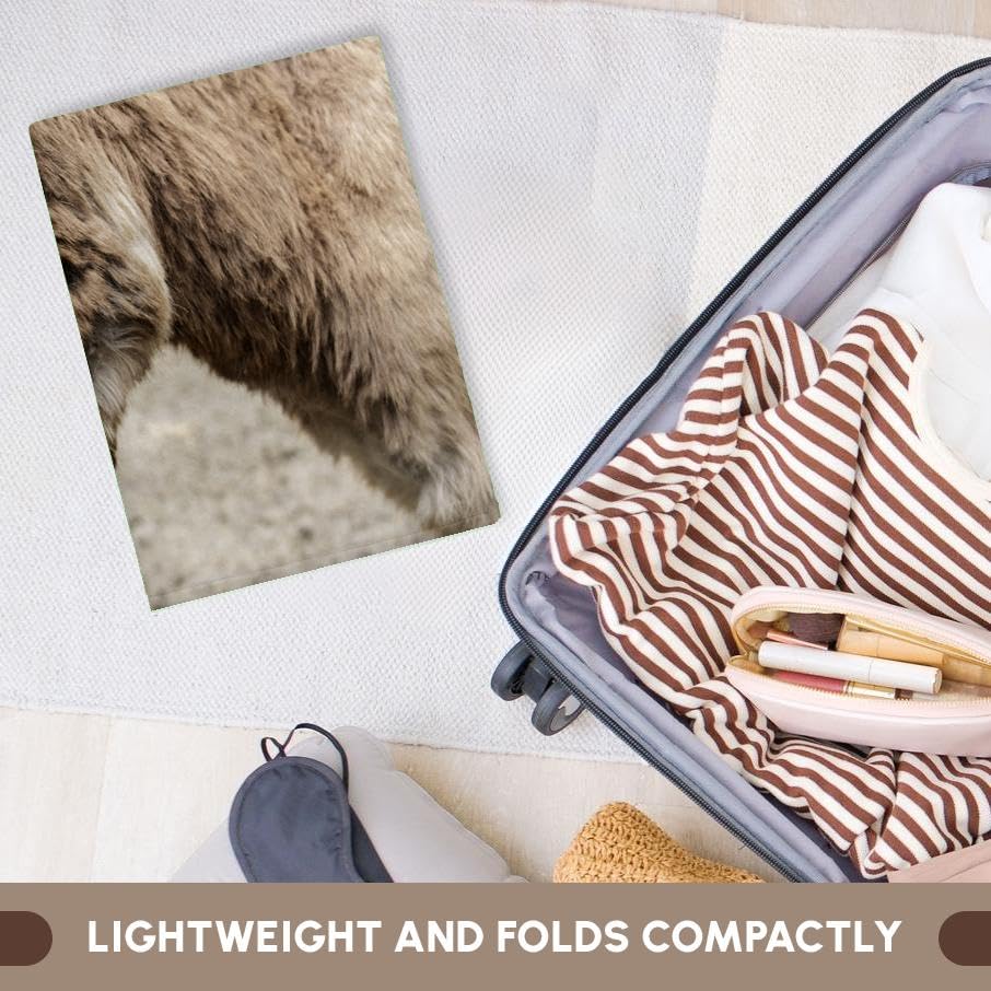 3dRose Danita Delimont Miniature Mediterranean Donkey Foal Portrait - Fall City WA Animal Themed Bath Towel Set (twl-332815-1) - Perfect for Farmhouse Decor, Baby Showers & Unique Gift Ideas