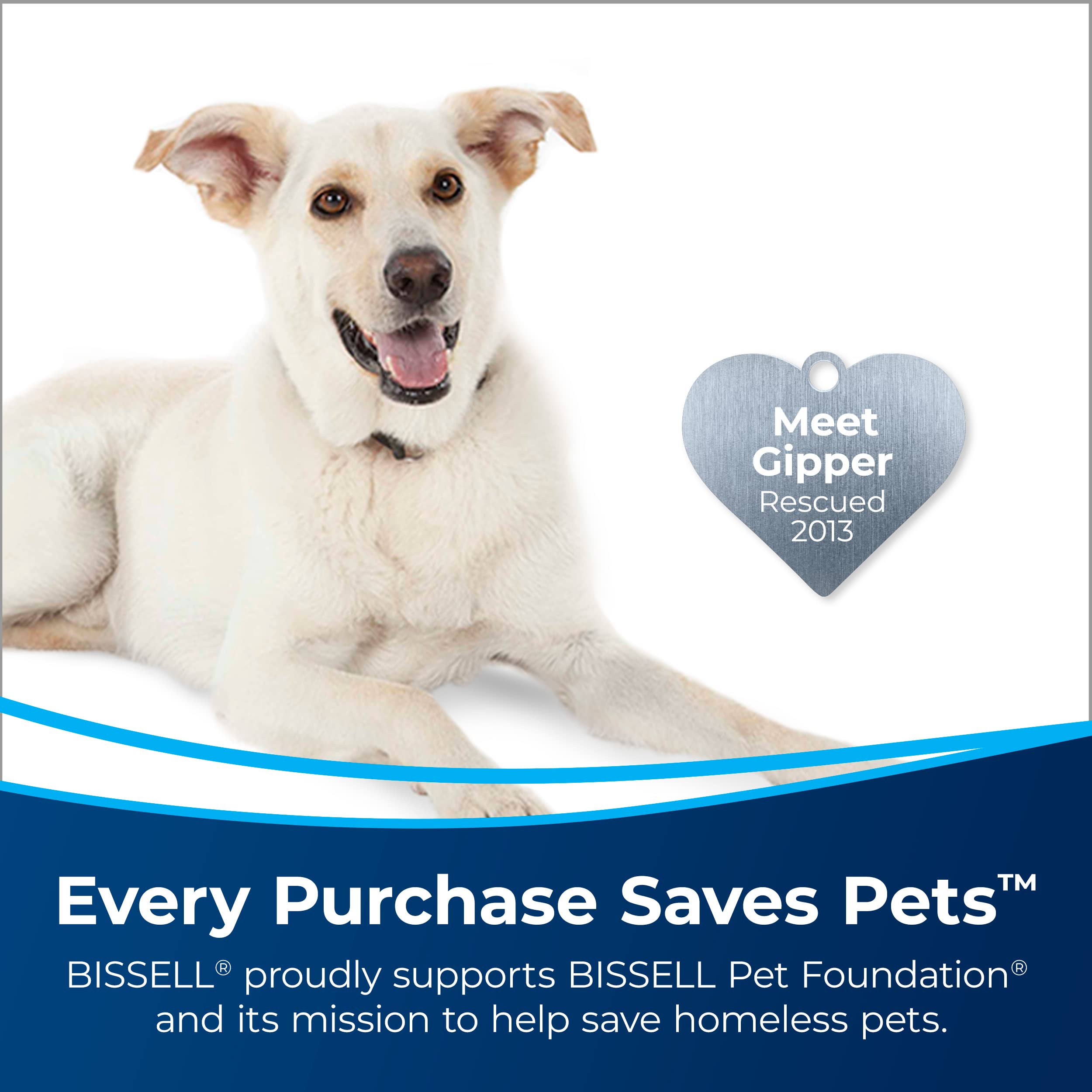 Bissell Pro OXY Deep Clean Formula 48 oz (3156) - Powerful Carpet & Upholstery Stain Remover for Pets, Kids & High-Traffic Areas