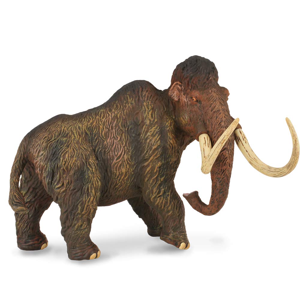 CollectA Woolly Mammoth Toy - Realistic 1:20 Scale Prehistoric Animal Figure (7.1