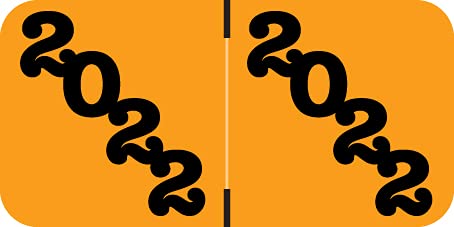 2022 Year Stickers - POS Compatible, Light Orange & Black File Folder Labels, 500/Roll (3/4