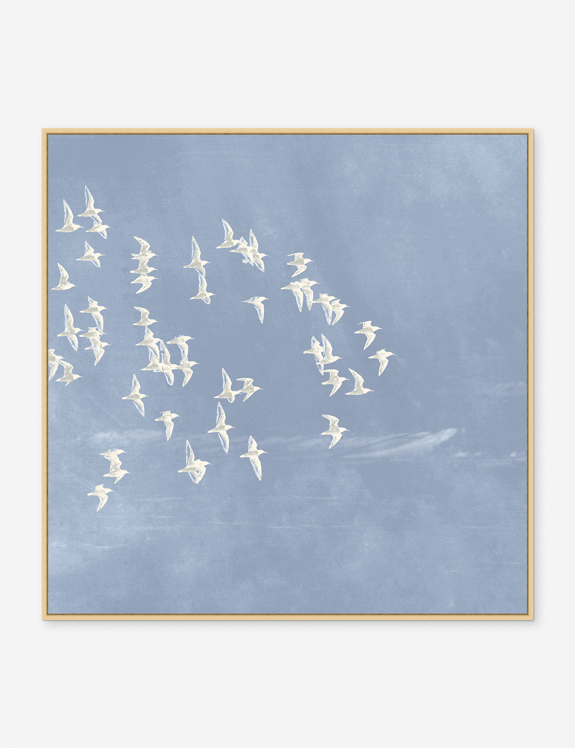 Blue Day Flight 2 Print - Trendy Graphic T-Shirt for Men & Women | Casual Streetwear Fashion | Perfect for Daily Wear, Travel & Outings