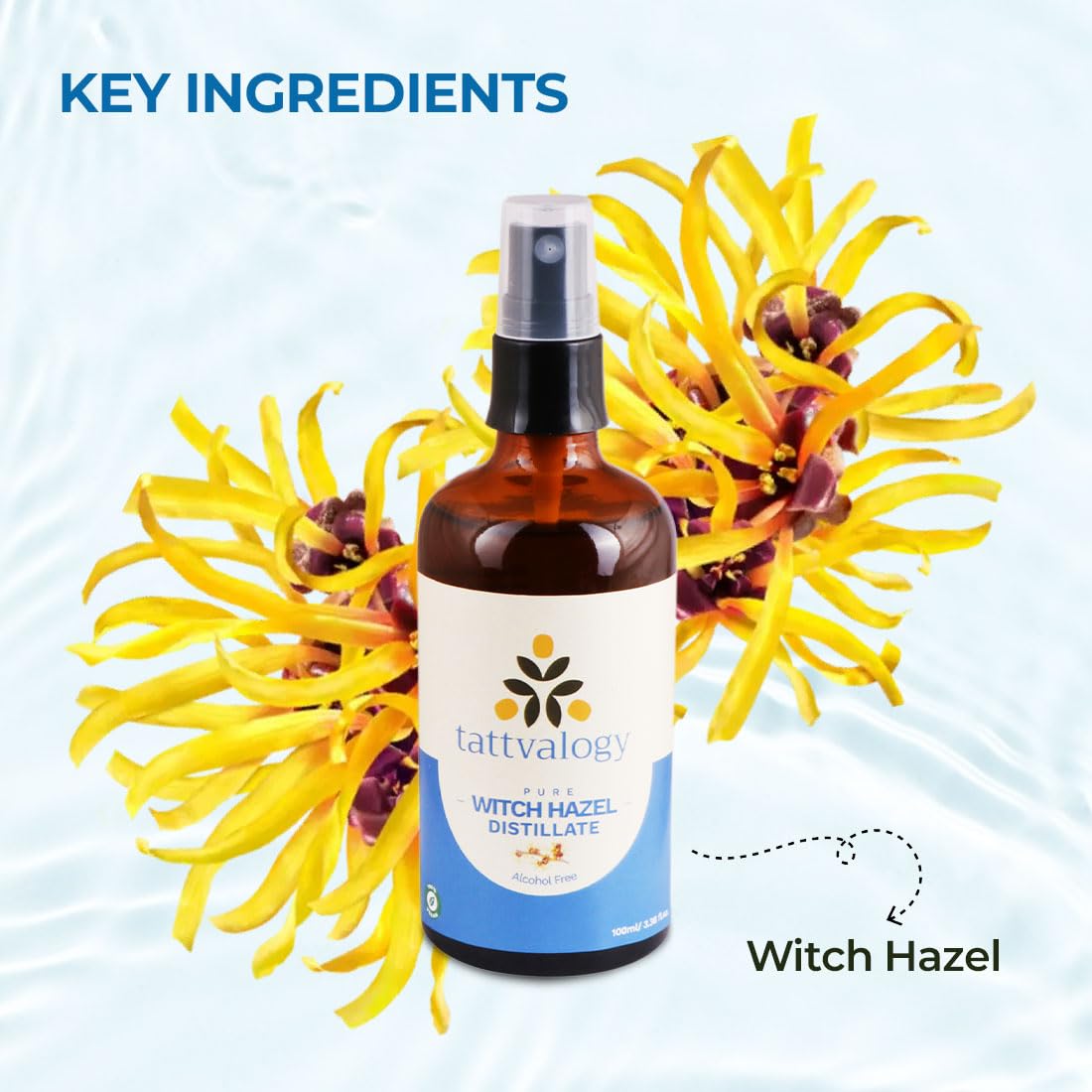 Tattvalogy Alcohol-Free Witch Hazel Distillate (100ml) - Natural Skin Toner & Astringent for Face & Body | Soothes, Calms & Refreshes Skin | Extracted from Hamamelis Virginiana | Perfect for Daily Skincare Routine, Post-Shave Treatment & Acne-Prone Skin Care