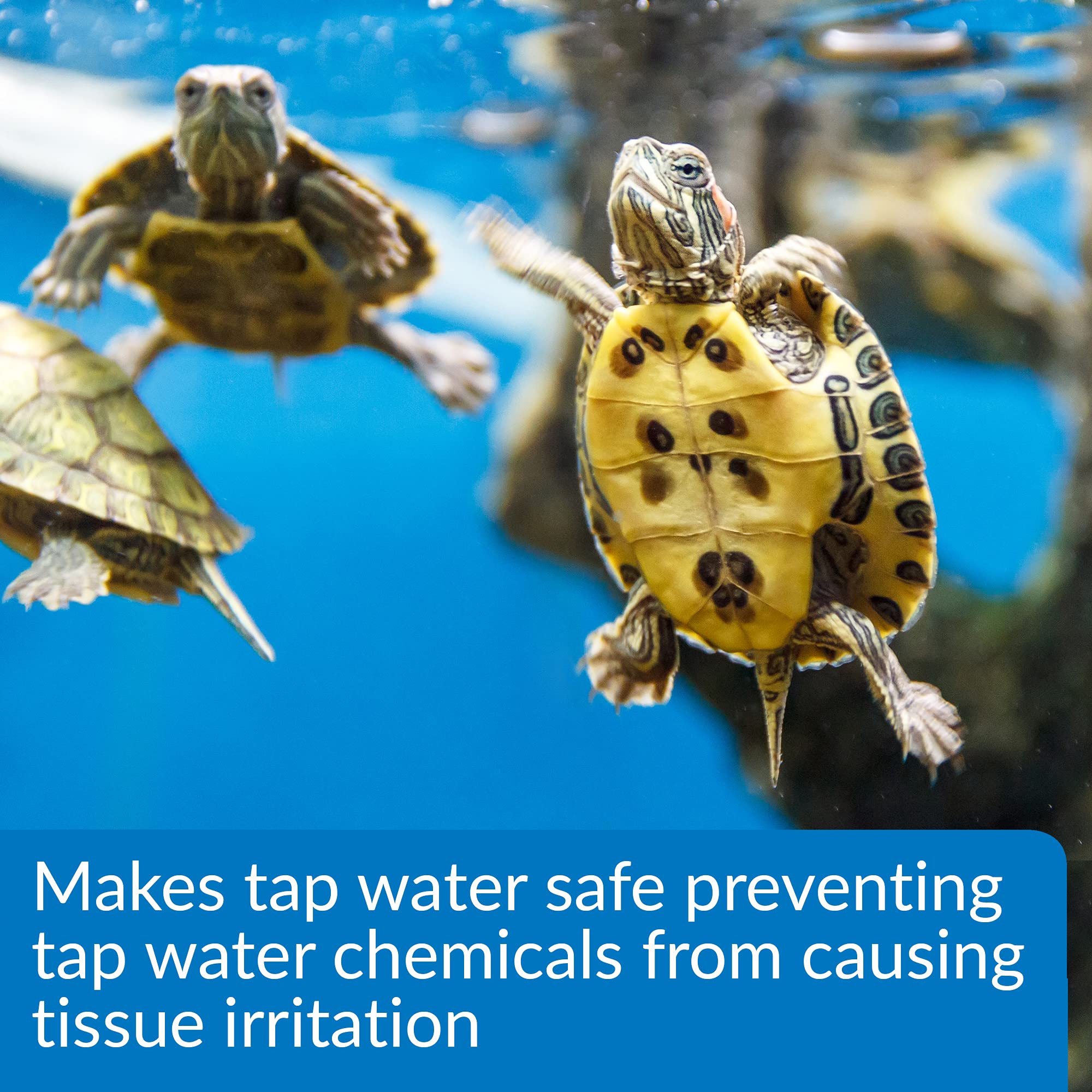 API TURTLE WATER CONDITIONER - 4 oz Bottle for Reptile & Turtle Tanks | Removes Chlorine & Heavy Metals | Safe for Aquatic Pets | Perfect for Water Changes & Tank Maintenance