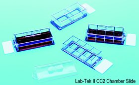 Lab-Tek® II CC2™ Chamber Slide - 2 Chamber, 12 Trays, 96/Pack - Ideal for Cell Culture & Microscopy Studies in Research Labs