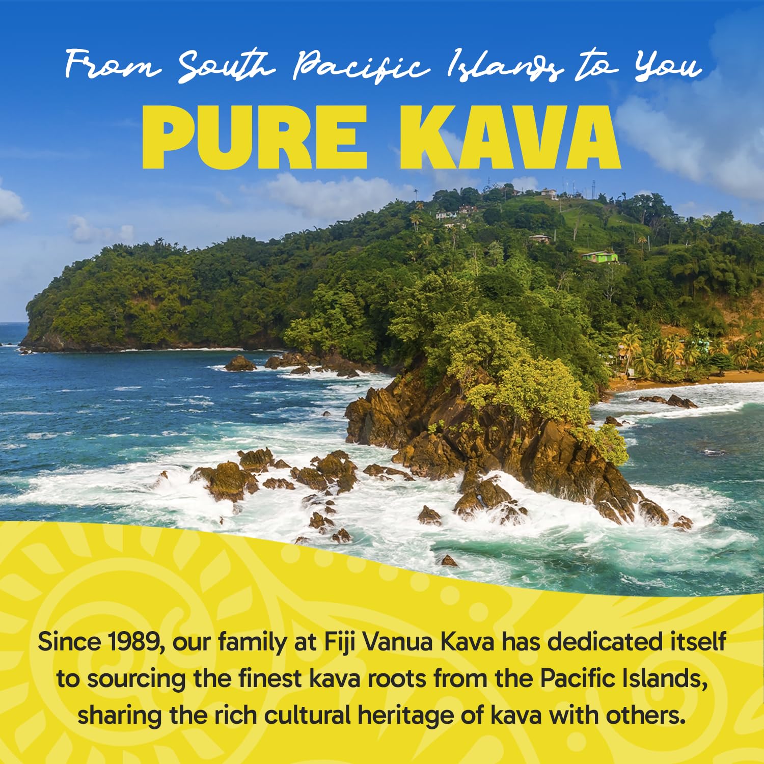 Premium Santa Cruz Kava Powder - Medium Grind Noble Root Powder (8 oz) | Smooth & Creamy Taste, Easy to Prepare | Natural Relaxation Drink for Stress Relief & Social Gatherings