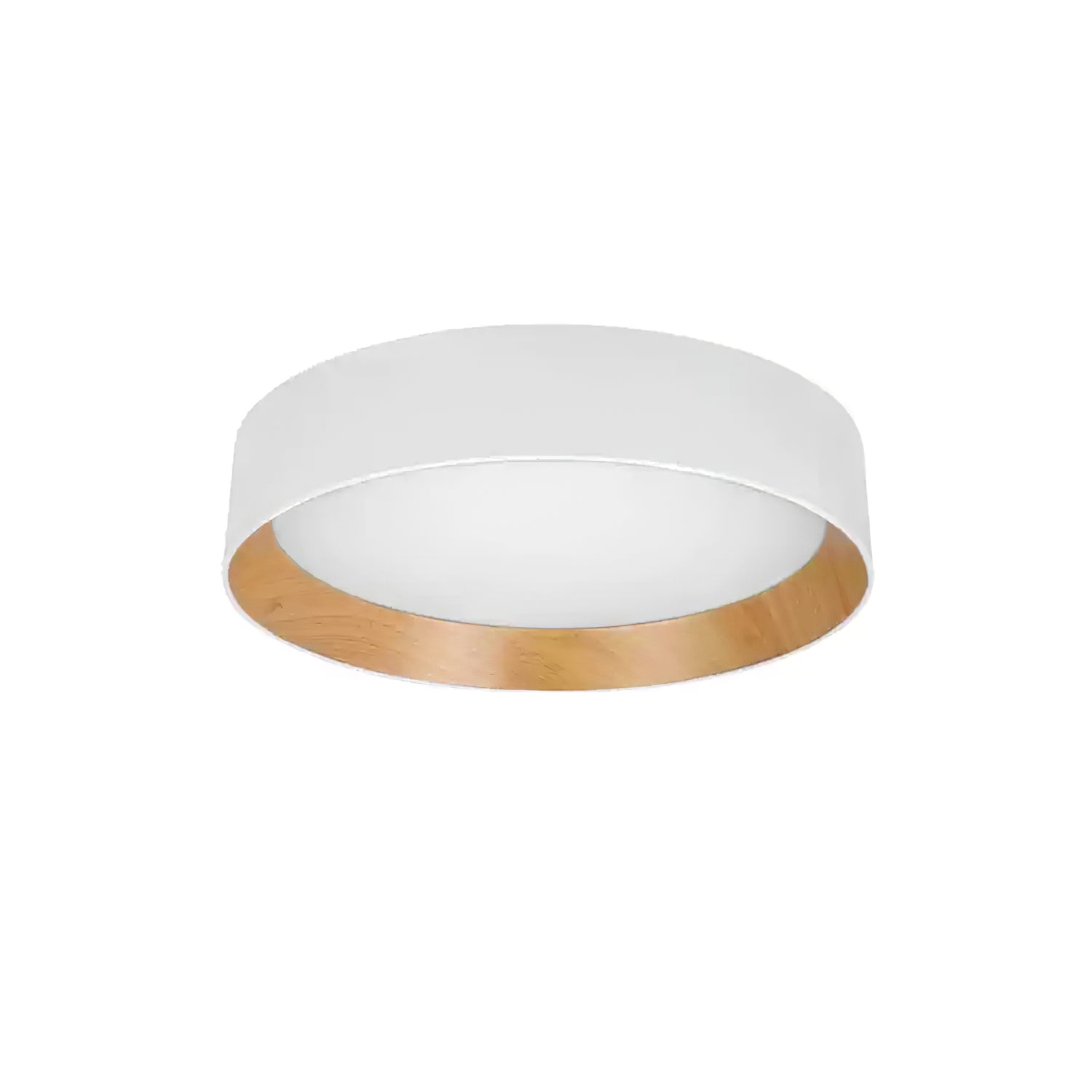 Modern Duo Round Ceiling Light Fixture - Adjustable LED Flush Mount for Living Room, Bedroom & Kitchen - Energy Efficient Indoor Lighting Solution