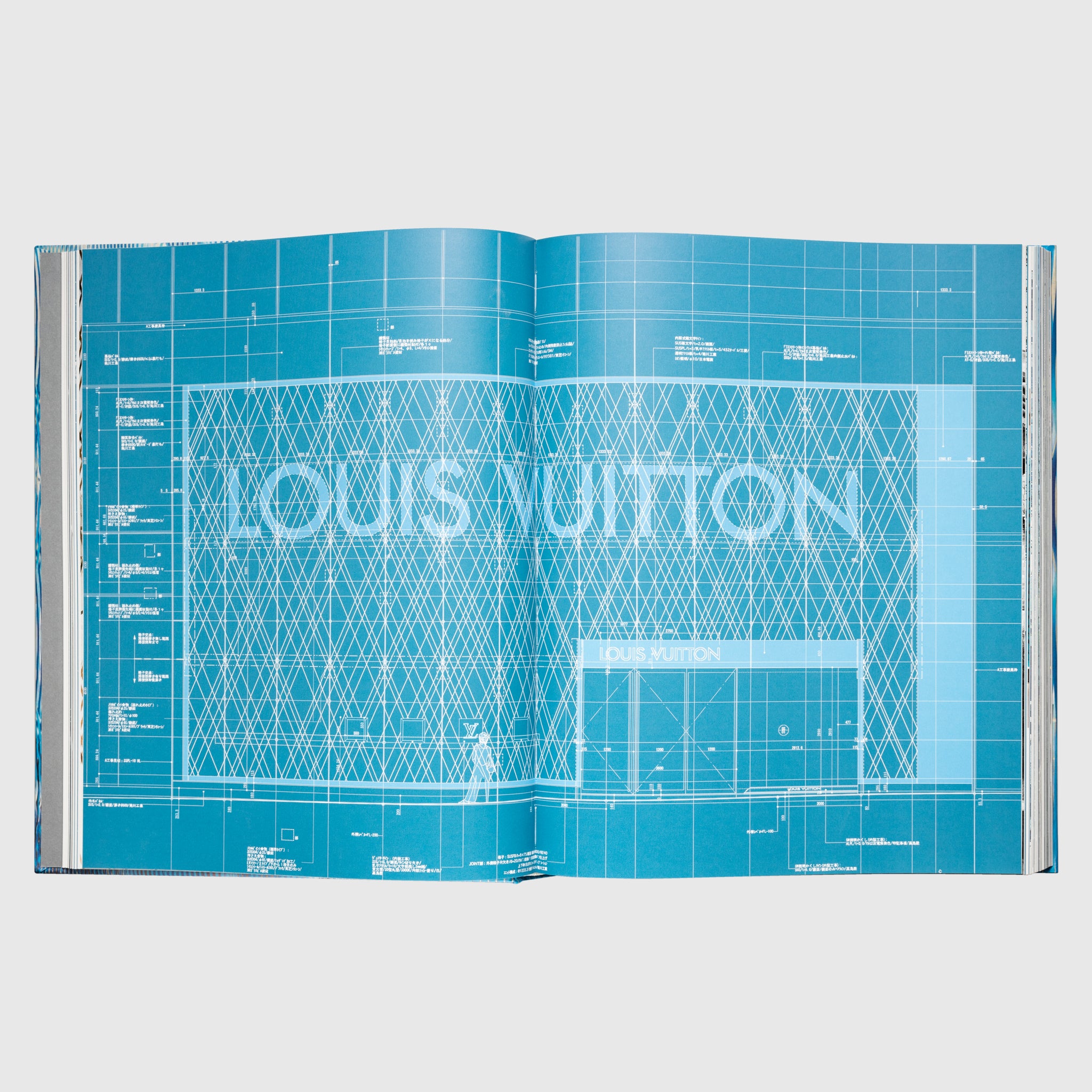 Louis Vuitton Skin: Architecture of Luxury Tokyo Edition - Premium Luxury Handbag for Women, Perfect for Business Meetings & High-End Fashion Events